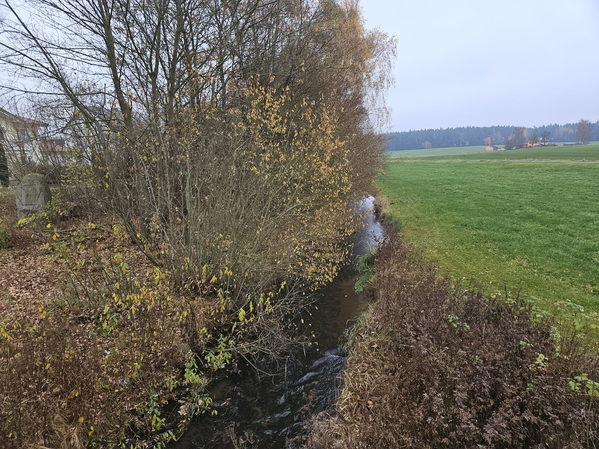 Wondreb bei Grossensees.