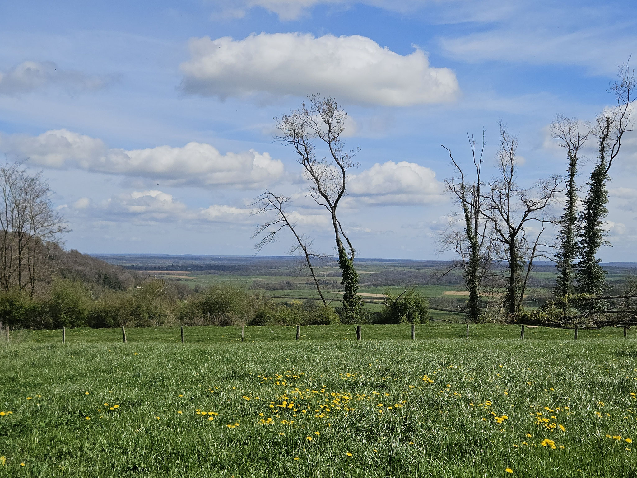 Bei Montlandon. Blick nach Osten ins Amance-Becken.