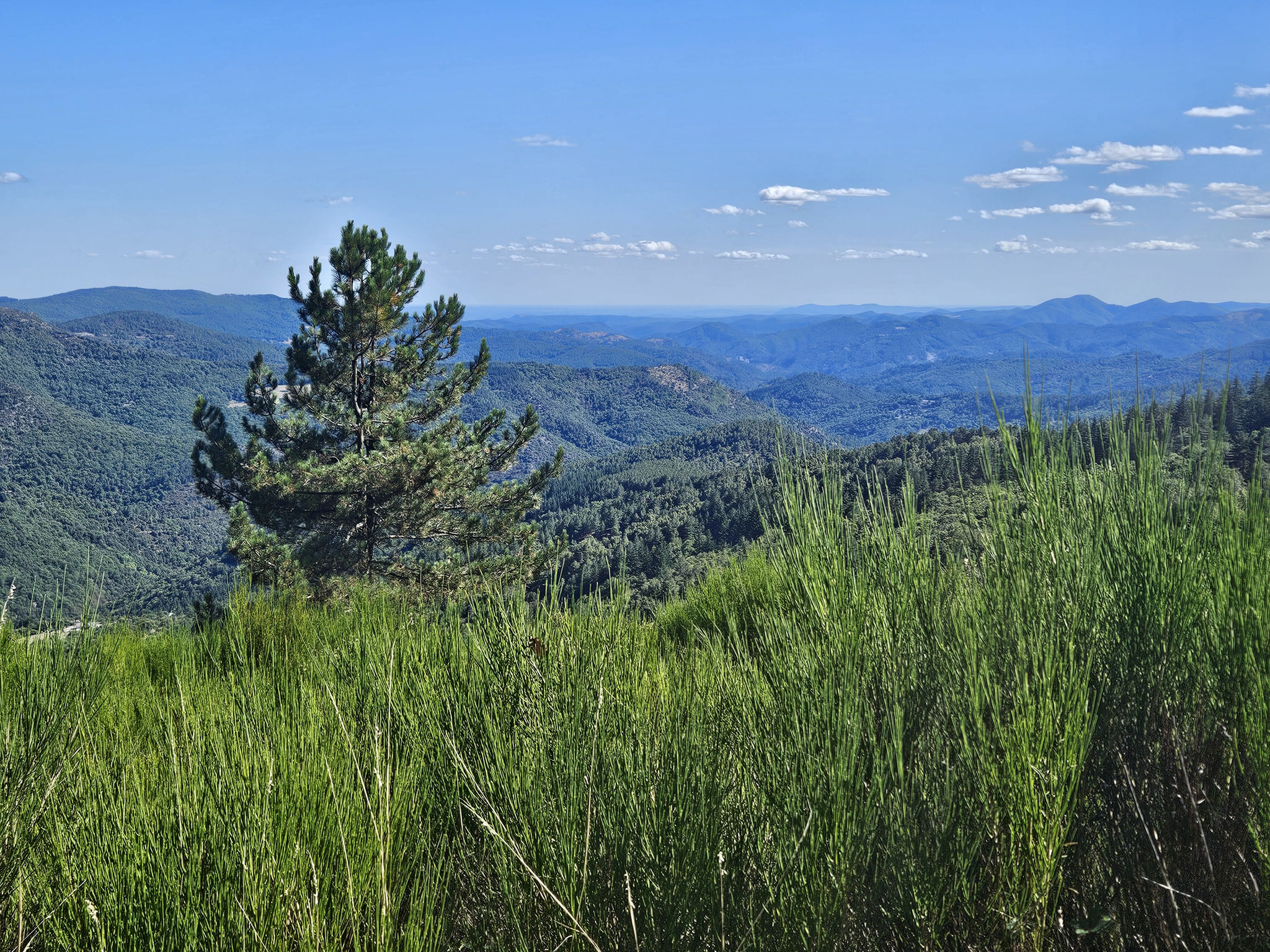 Le Cayla, Blick nach Süden.