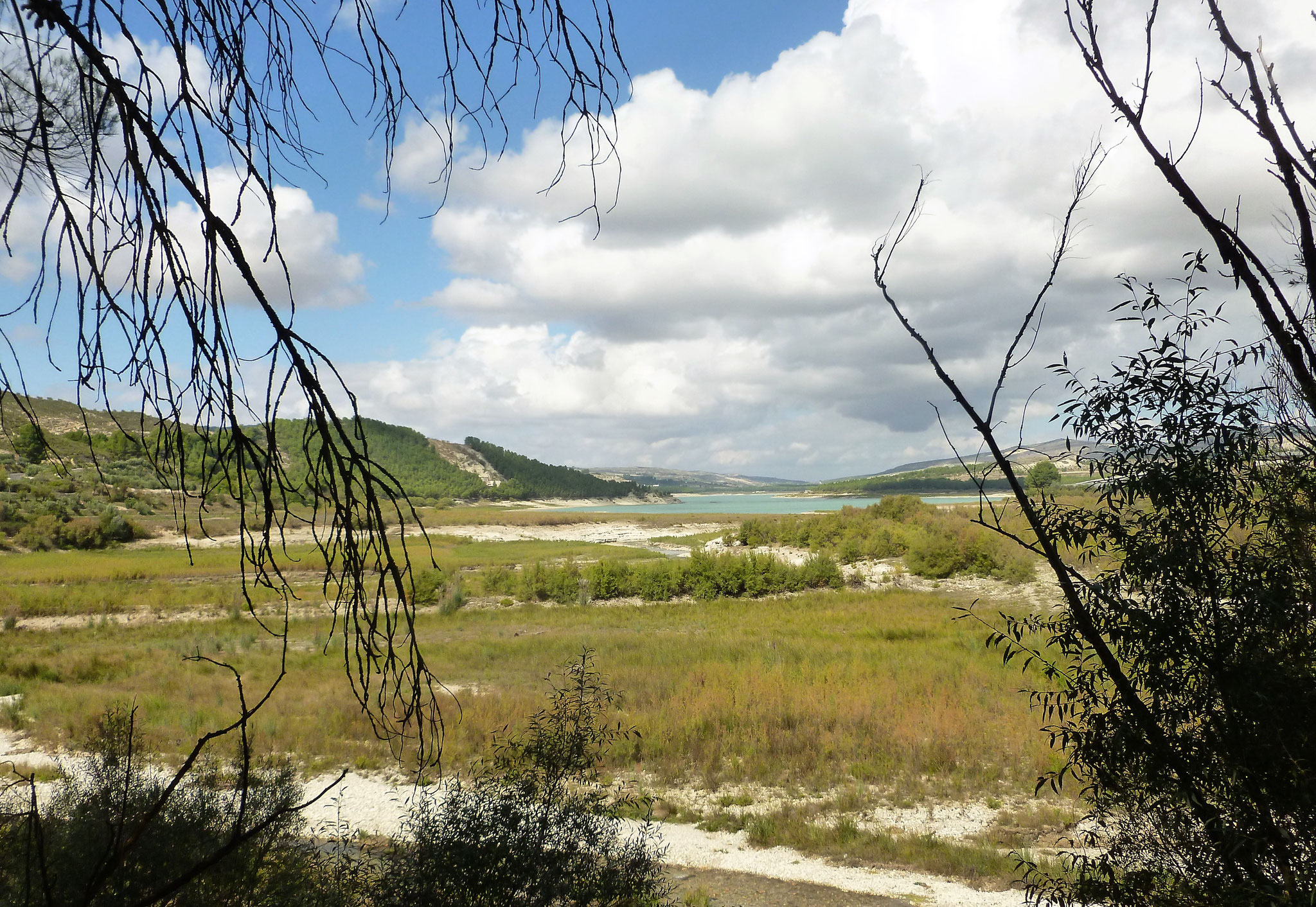 Embalse de los Bermejales, Südufer.