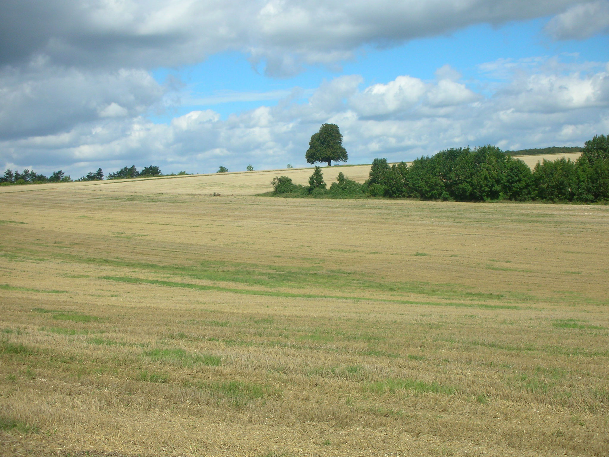 Nähe Kälberberg.