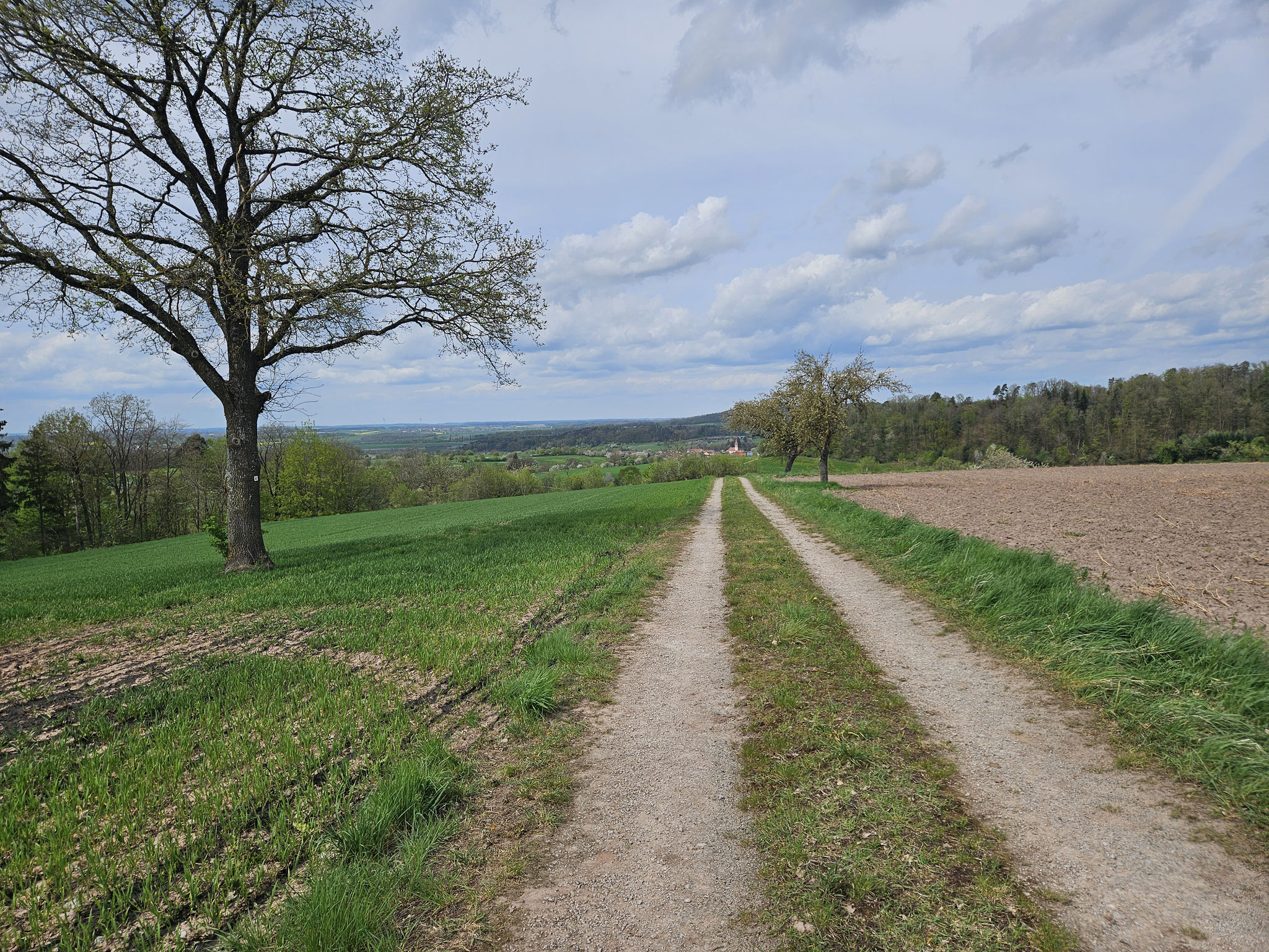 Lehenfeld, ungefähr Wasserscheide.