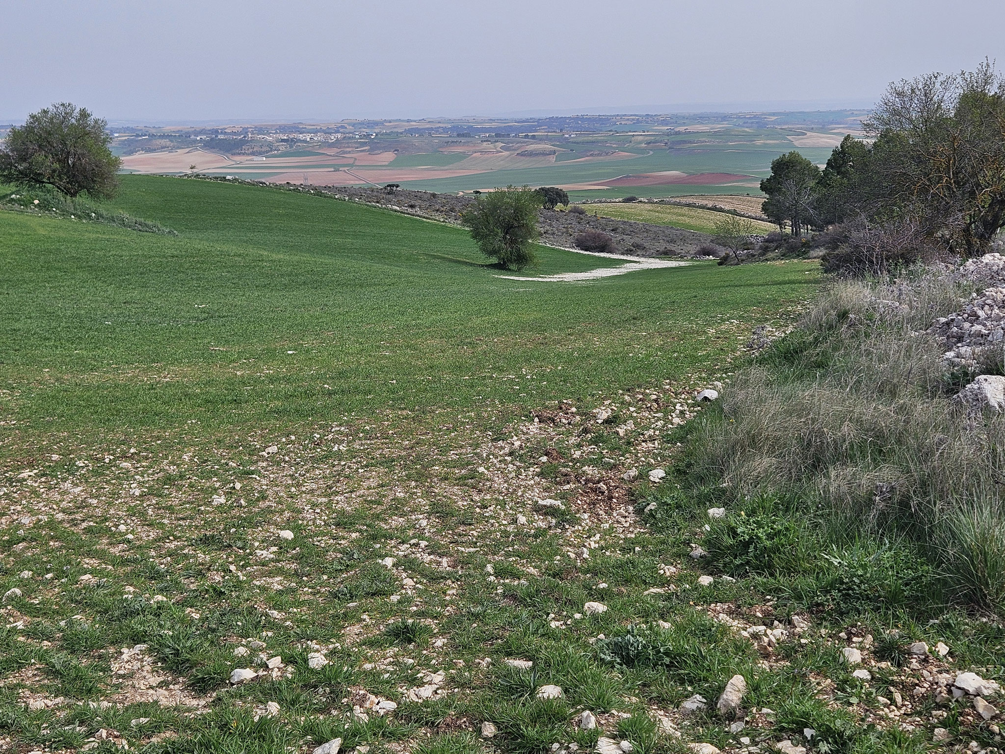 Beim Mojón Alto, Mancha-Blick.