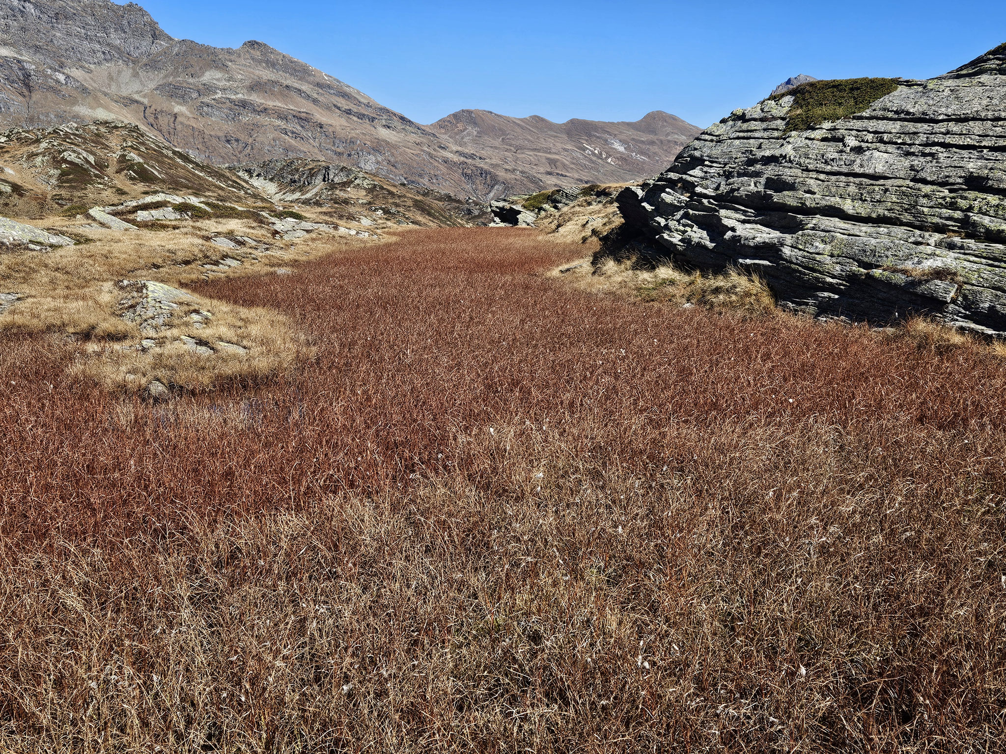 Moorlandschaft San Bernardino.
