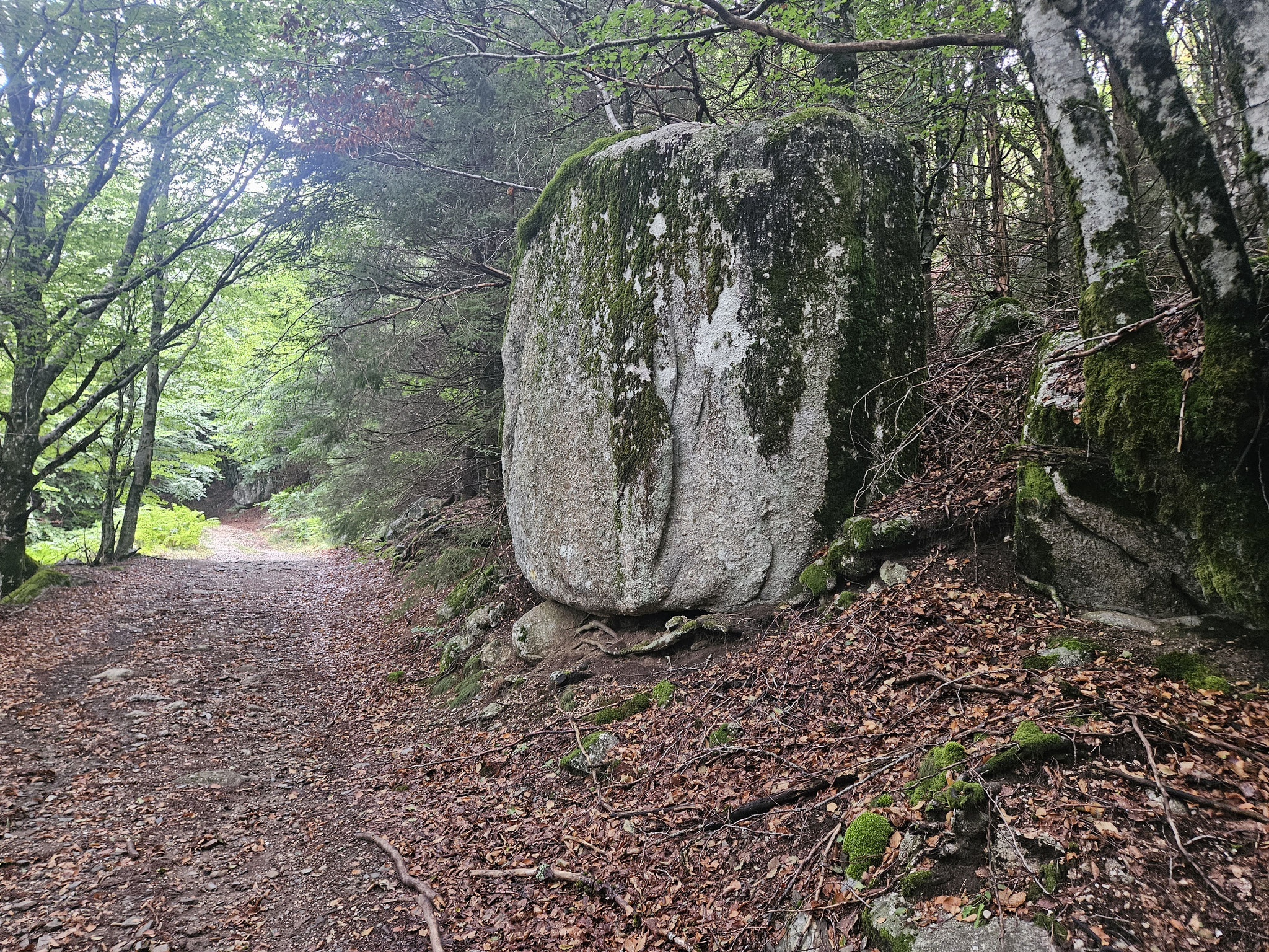 Beim Aufstieg zum Saint-Guiral.