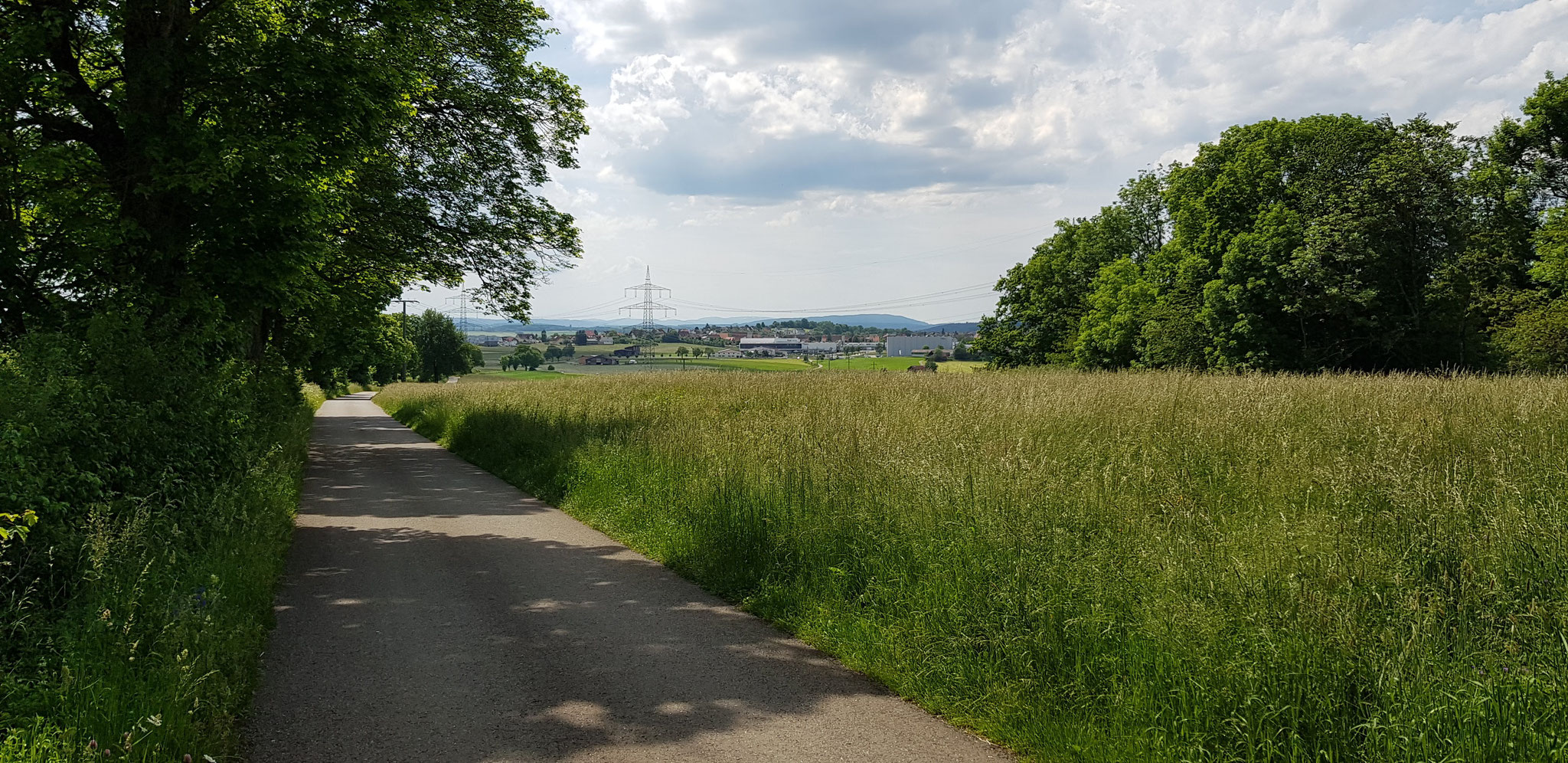 Auenberg vor Döggingen.