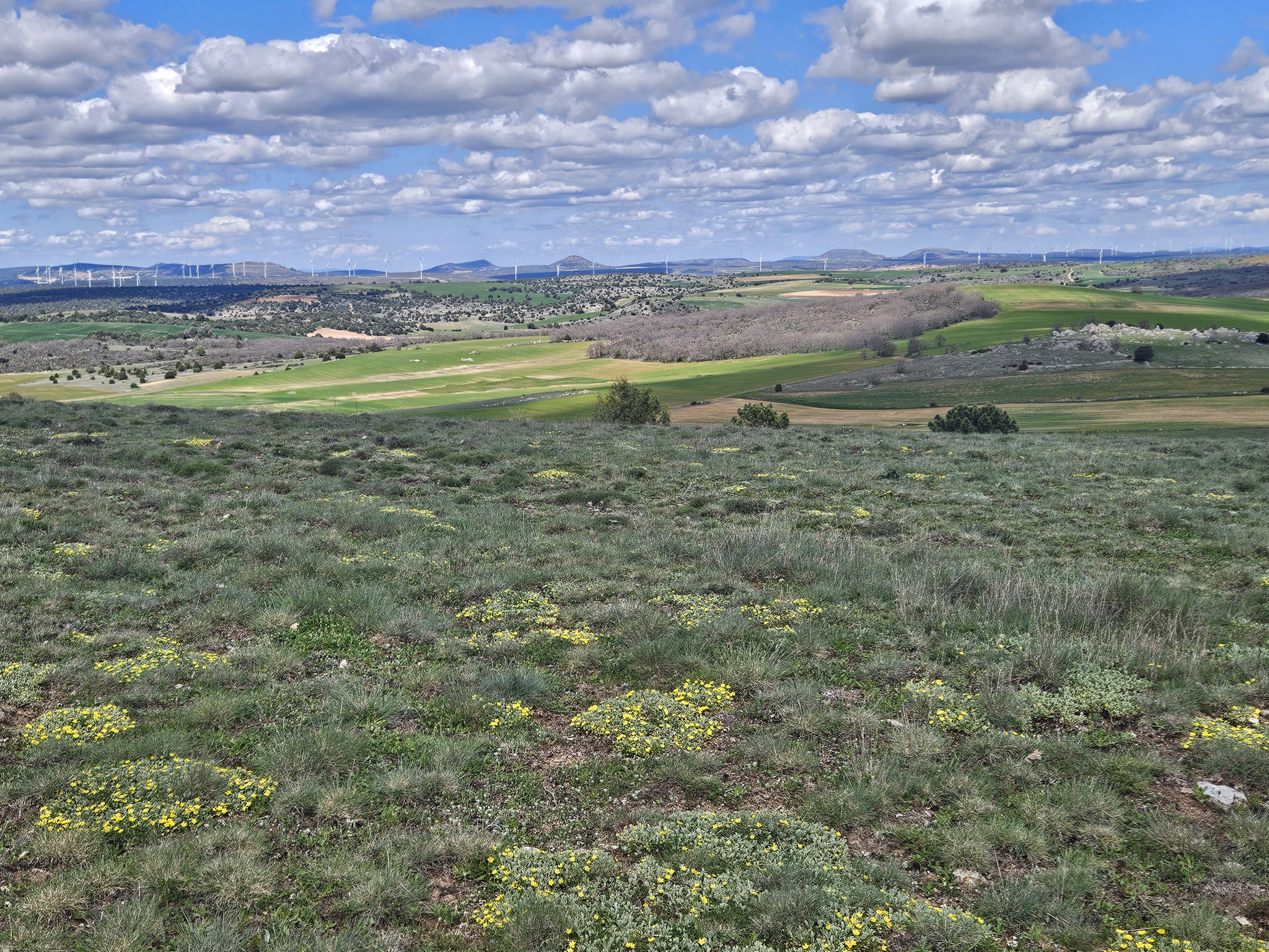 Sierra de Aragoncillo, Blick nach Norden.