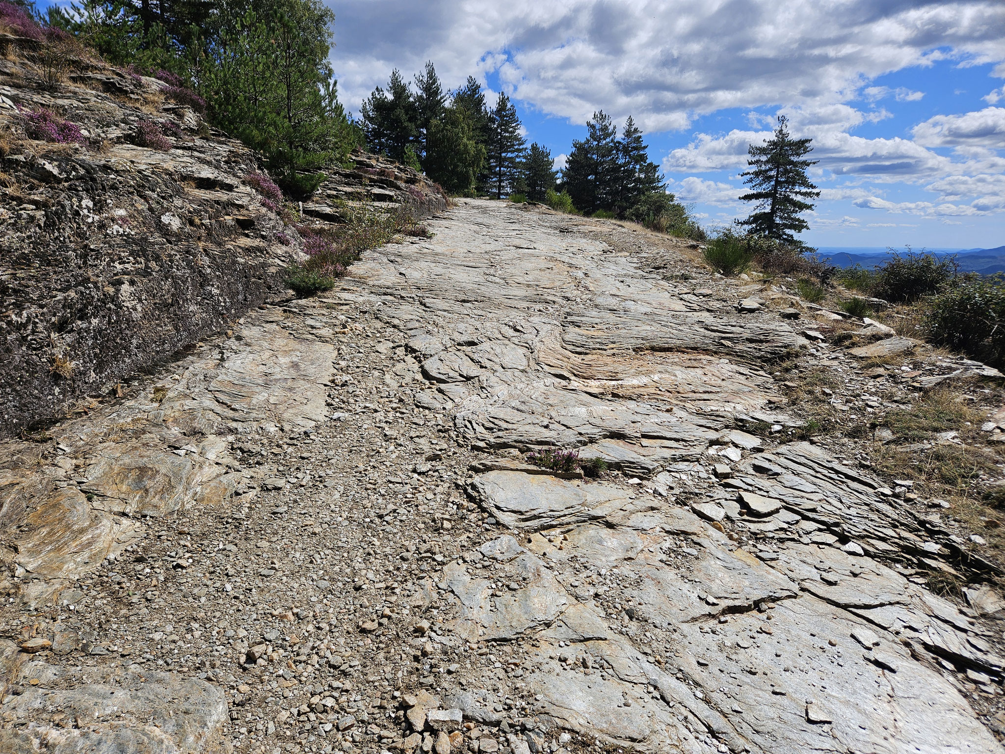 Gen Col des Laupies.