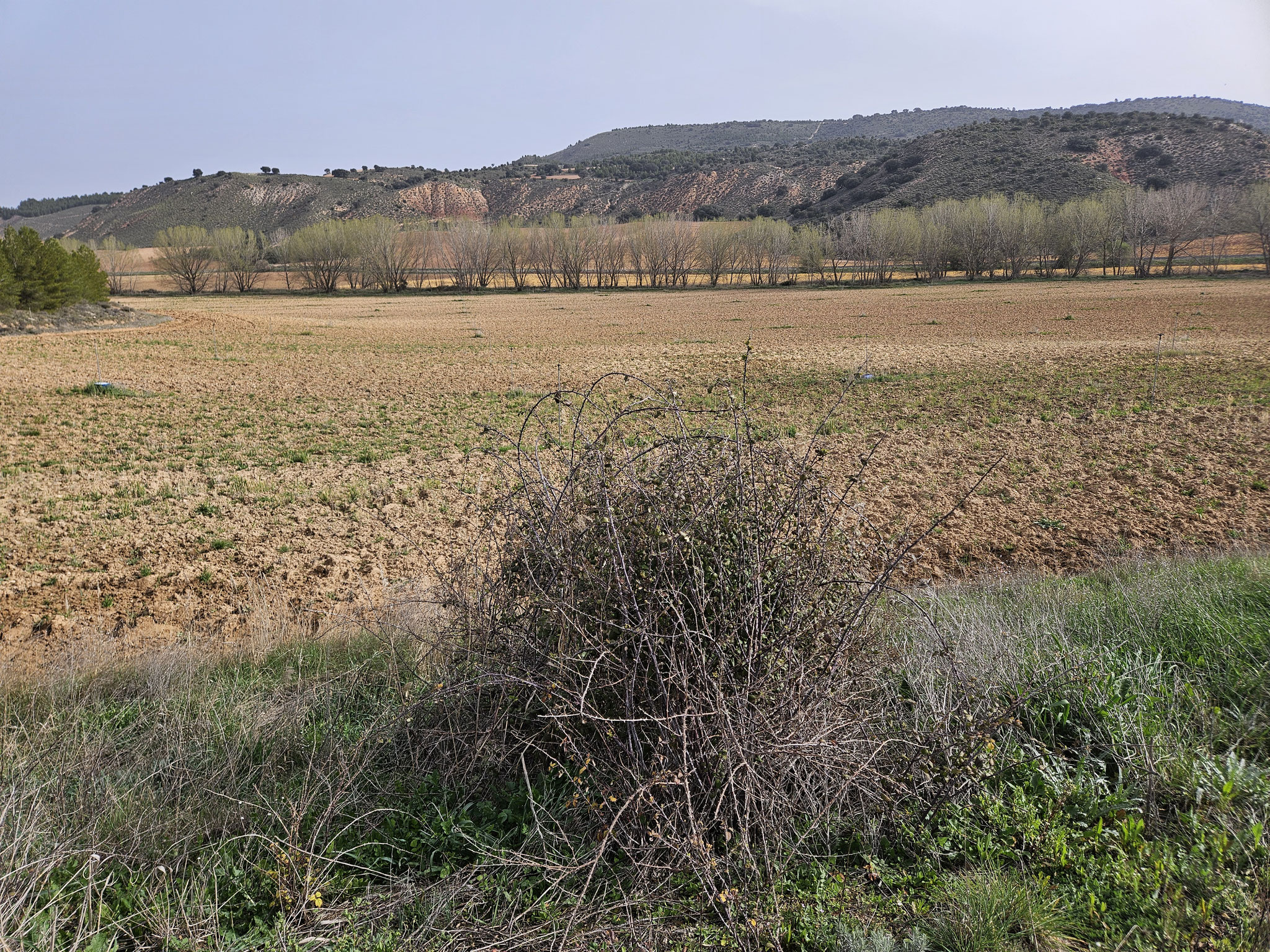 Tal des Río Mayor.