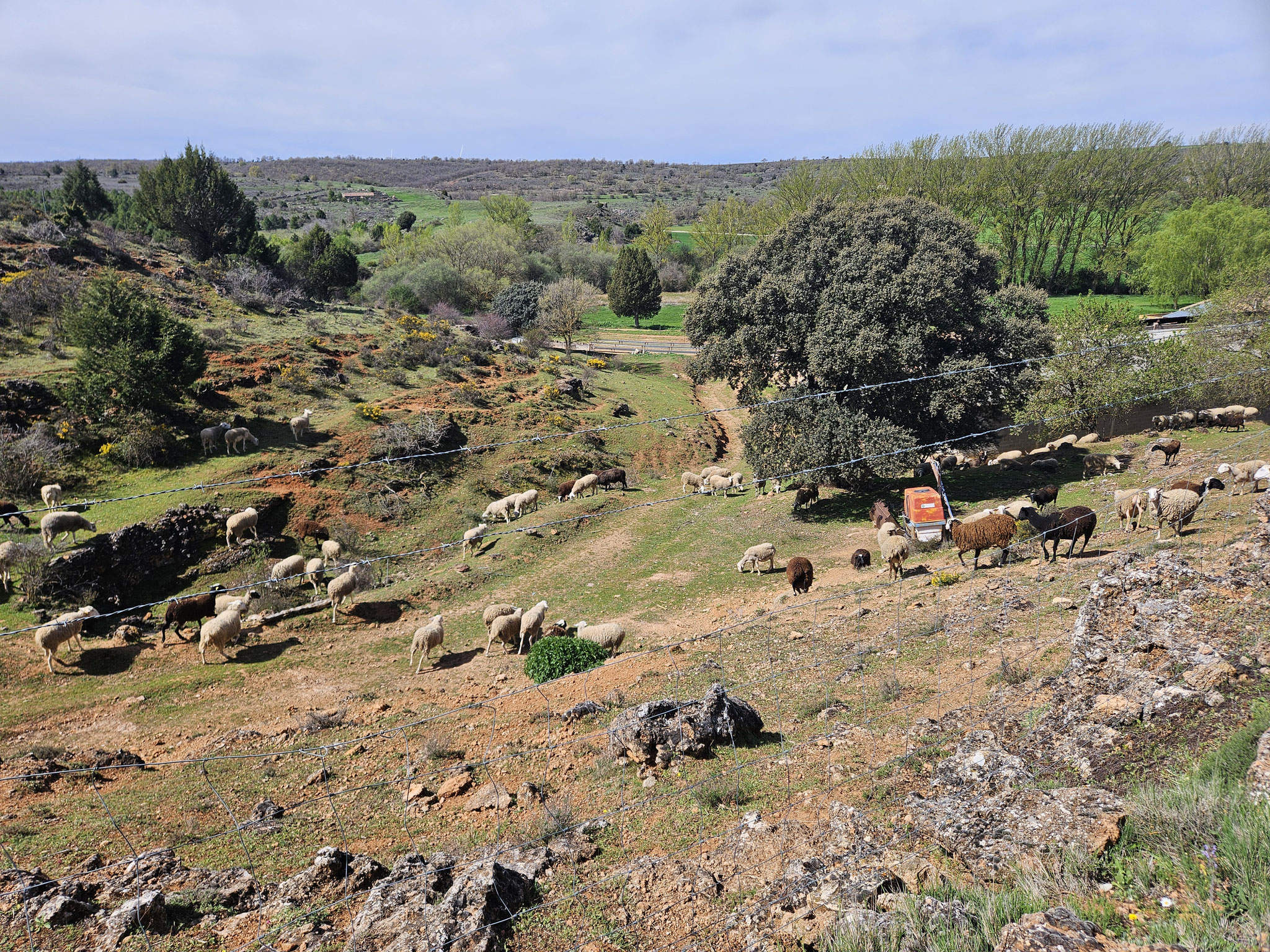 Hof bei Los Arcajuelos.