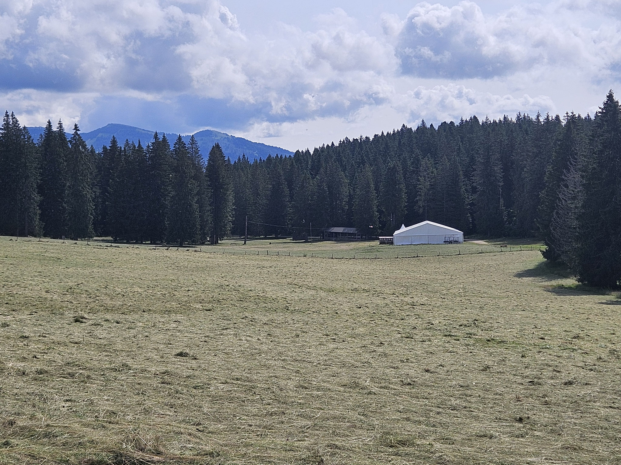 Lichtung mit Festzelt vor Chasseron.