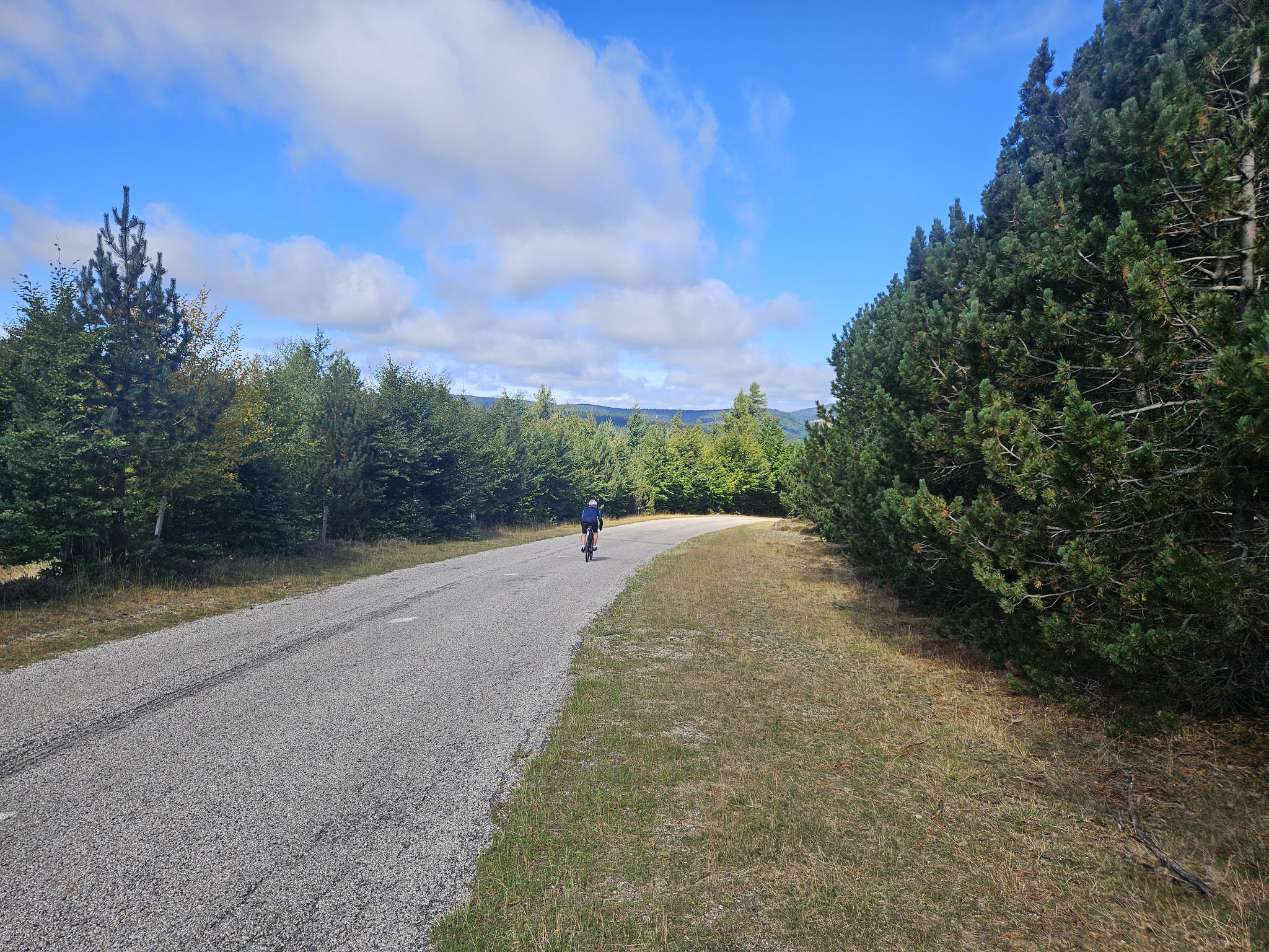 Entlang der Strasse nach L'Espérou (EHWS.)