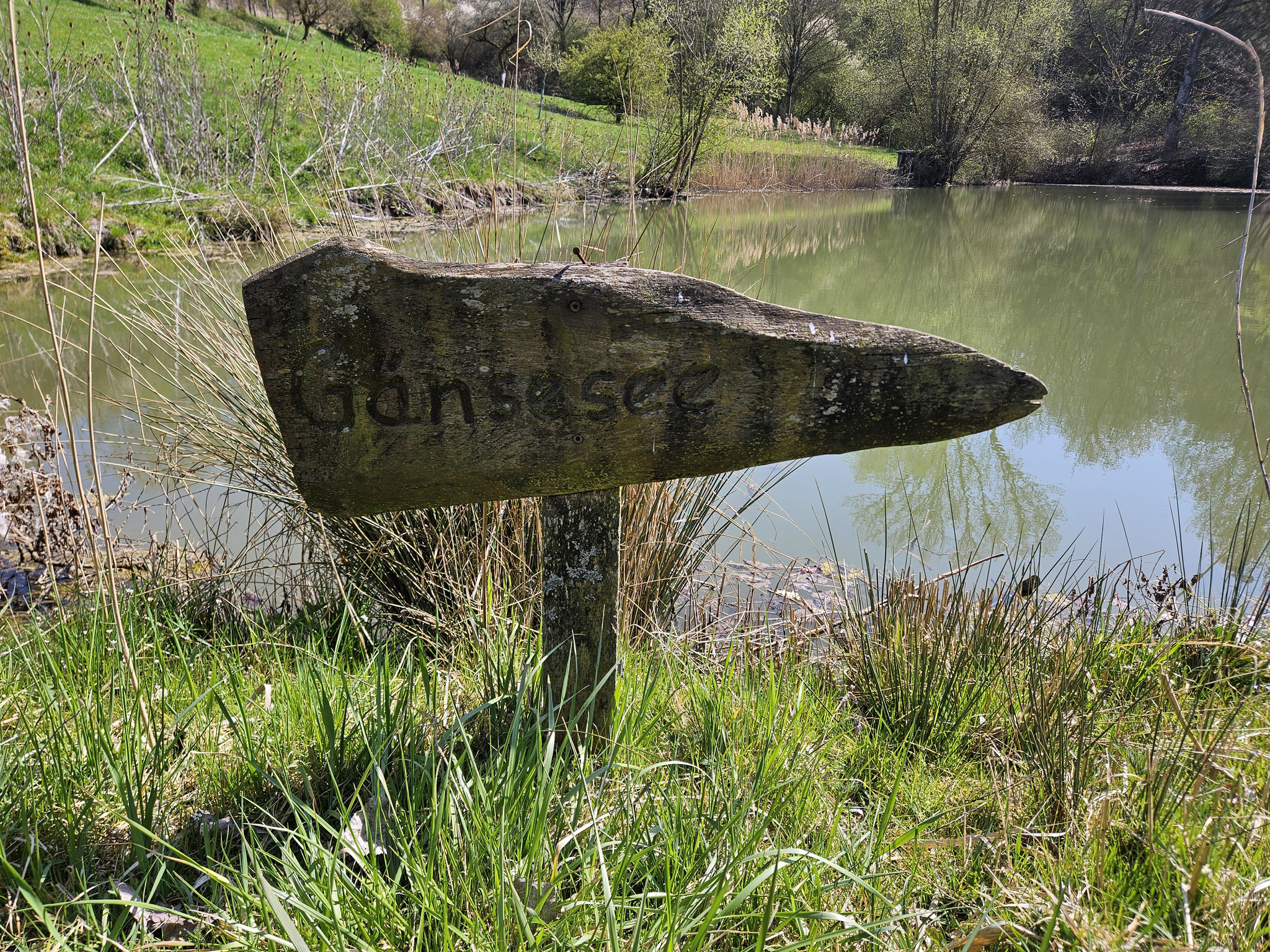 Gänsesee bei Oberoestheim.