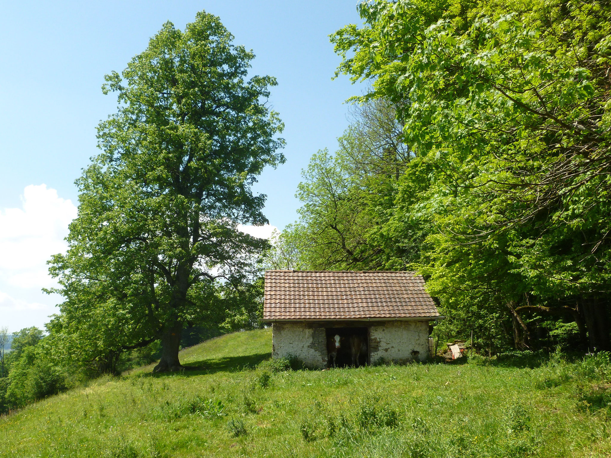 Auf dem Grat, bei Le Sceut.