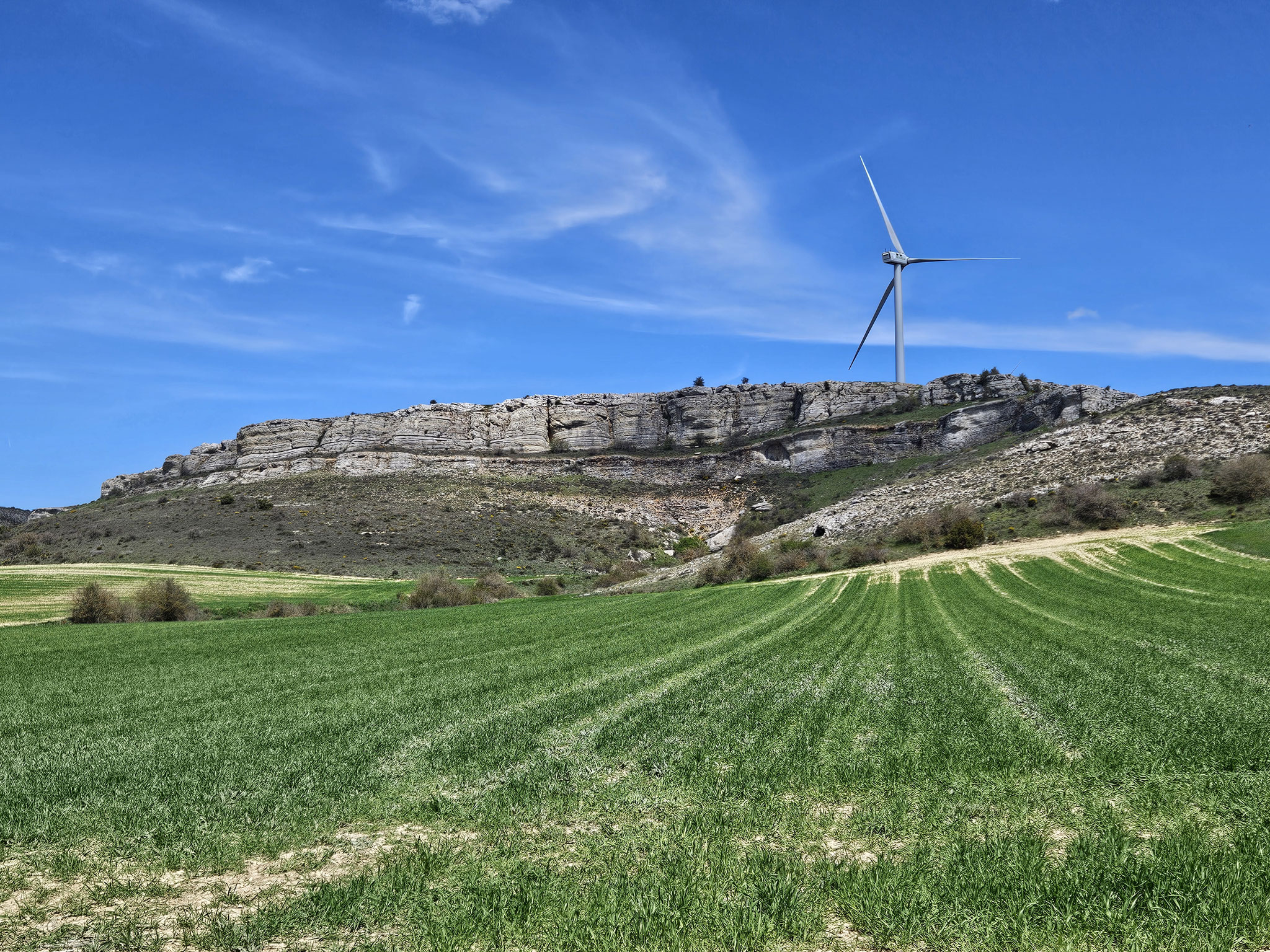 Im Tal des Tajuña.