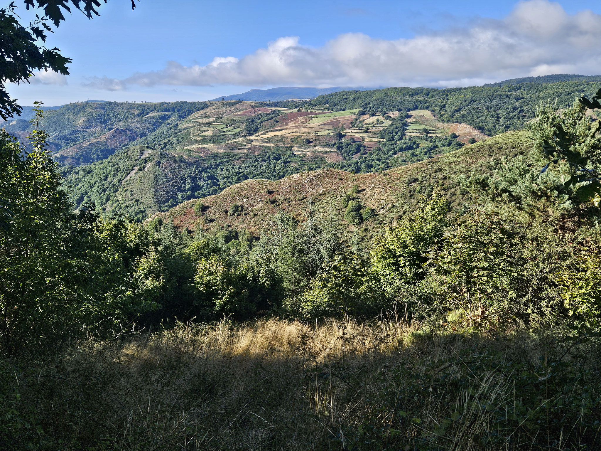 Vals cénevols.