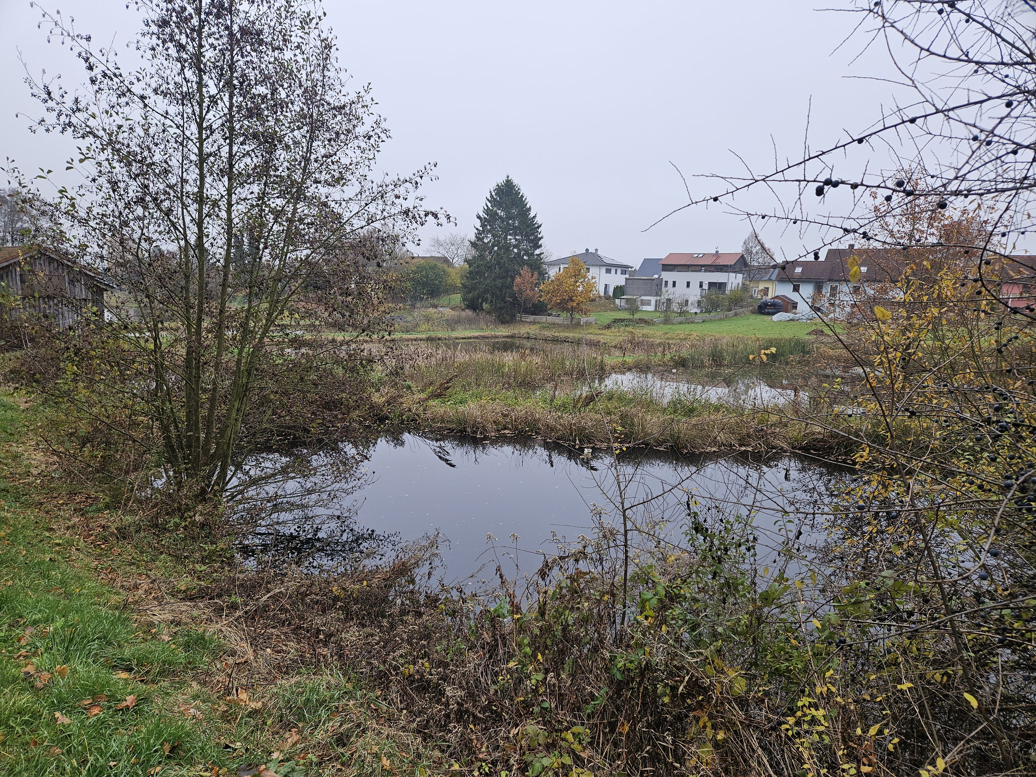 Fischteiche bei Tirschenreuth.