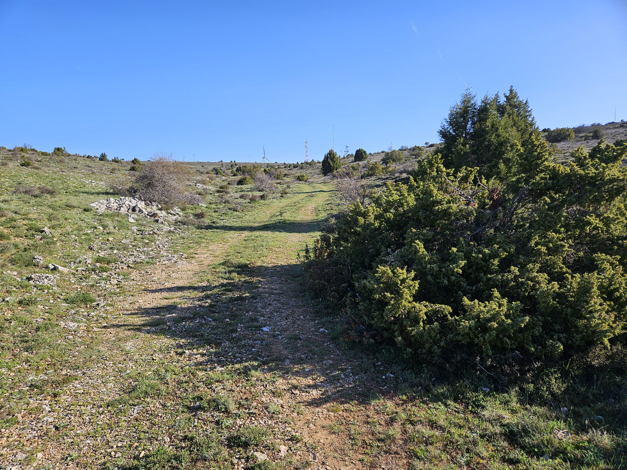 Camino del Cid ob Maranchón.