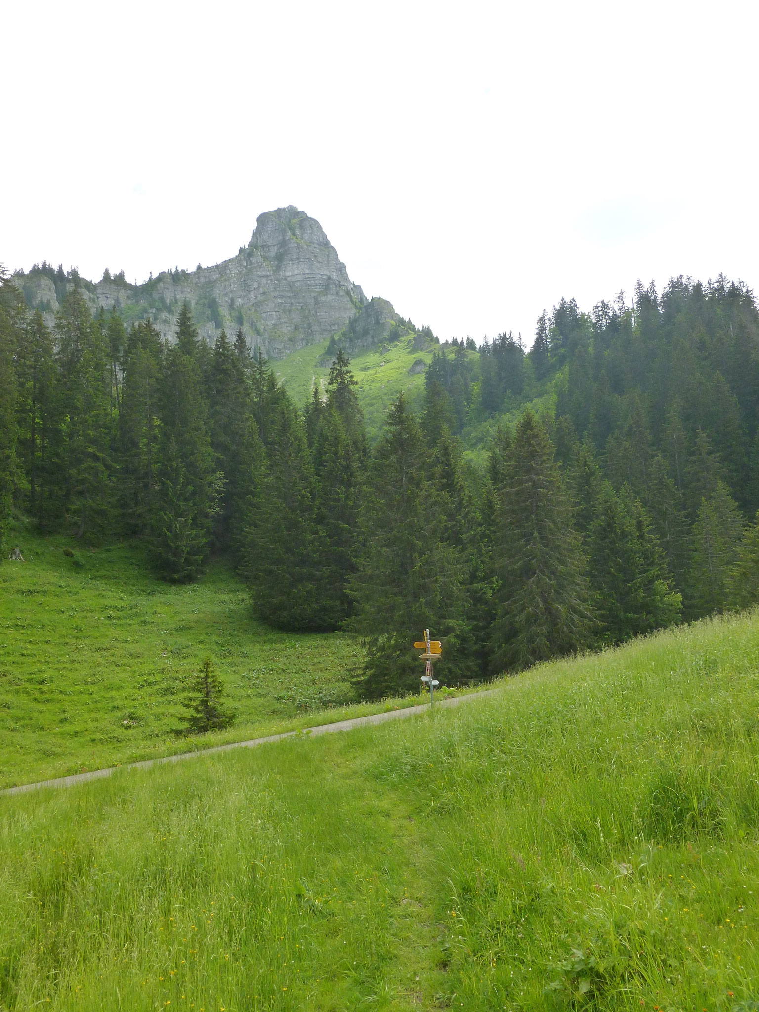 Vor Villard-Dessous. Teysachaux.