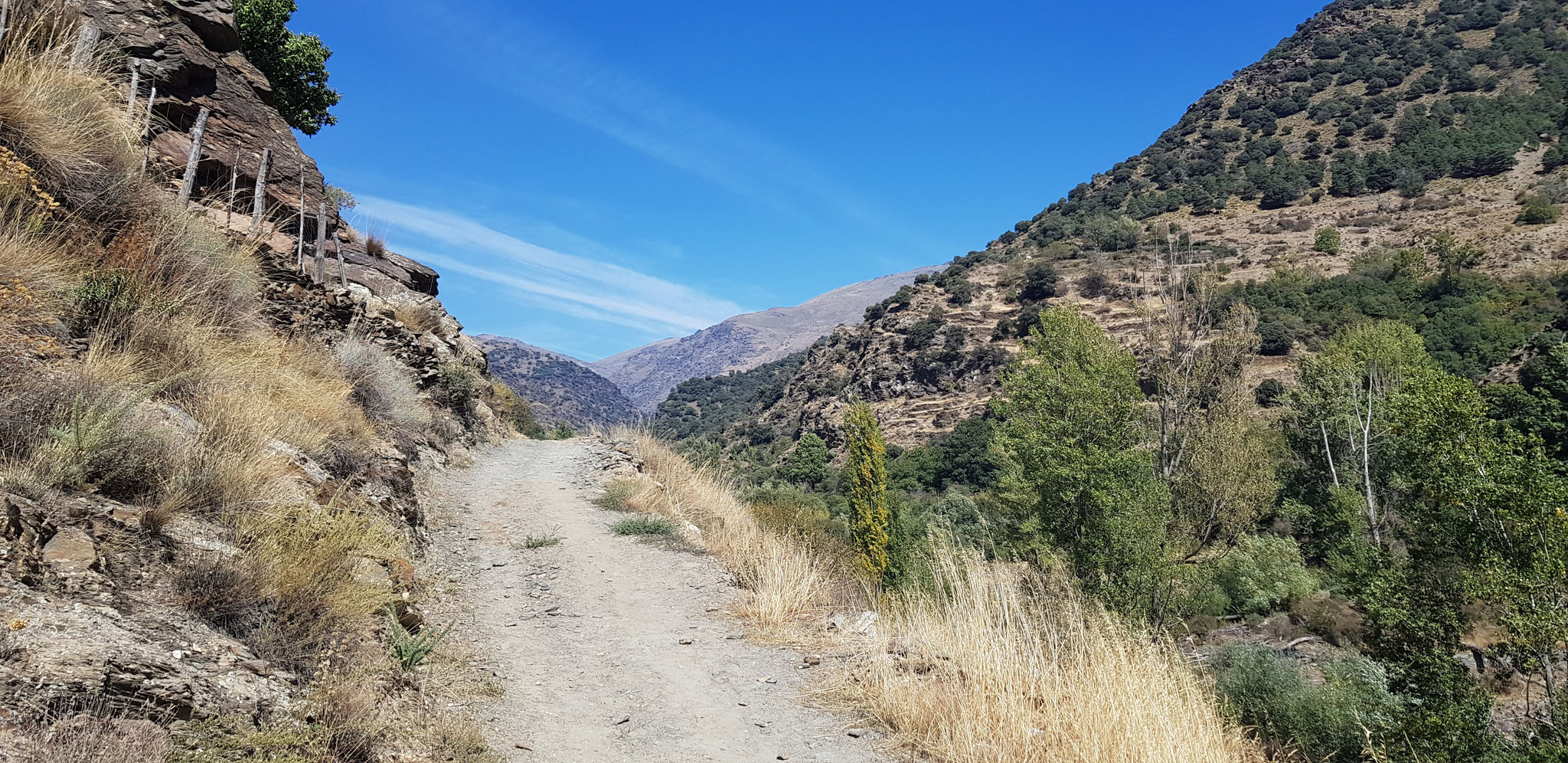 Einbiegen ins Tal des Río Trevélez.