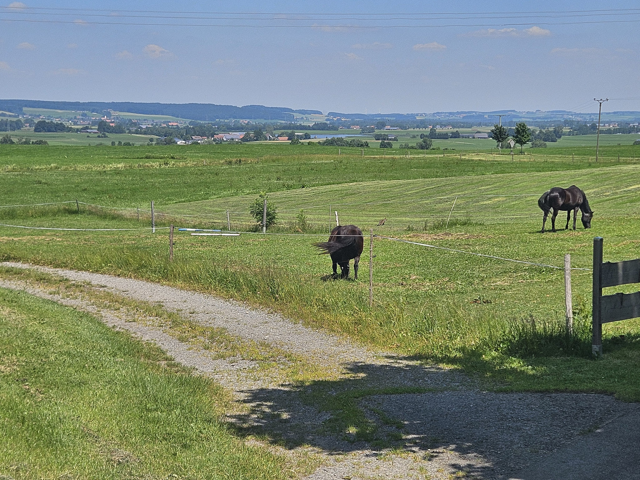 Bei Weitprechts.