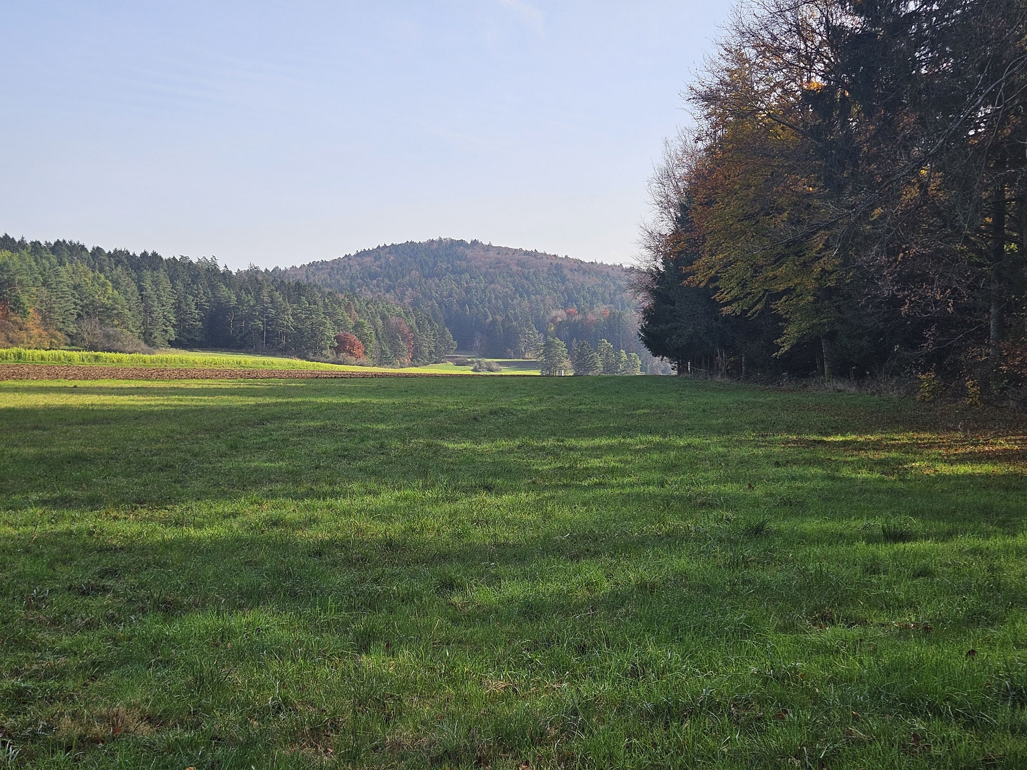 Bei Ödamershüll, Blick zum Poppberg.