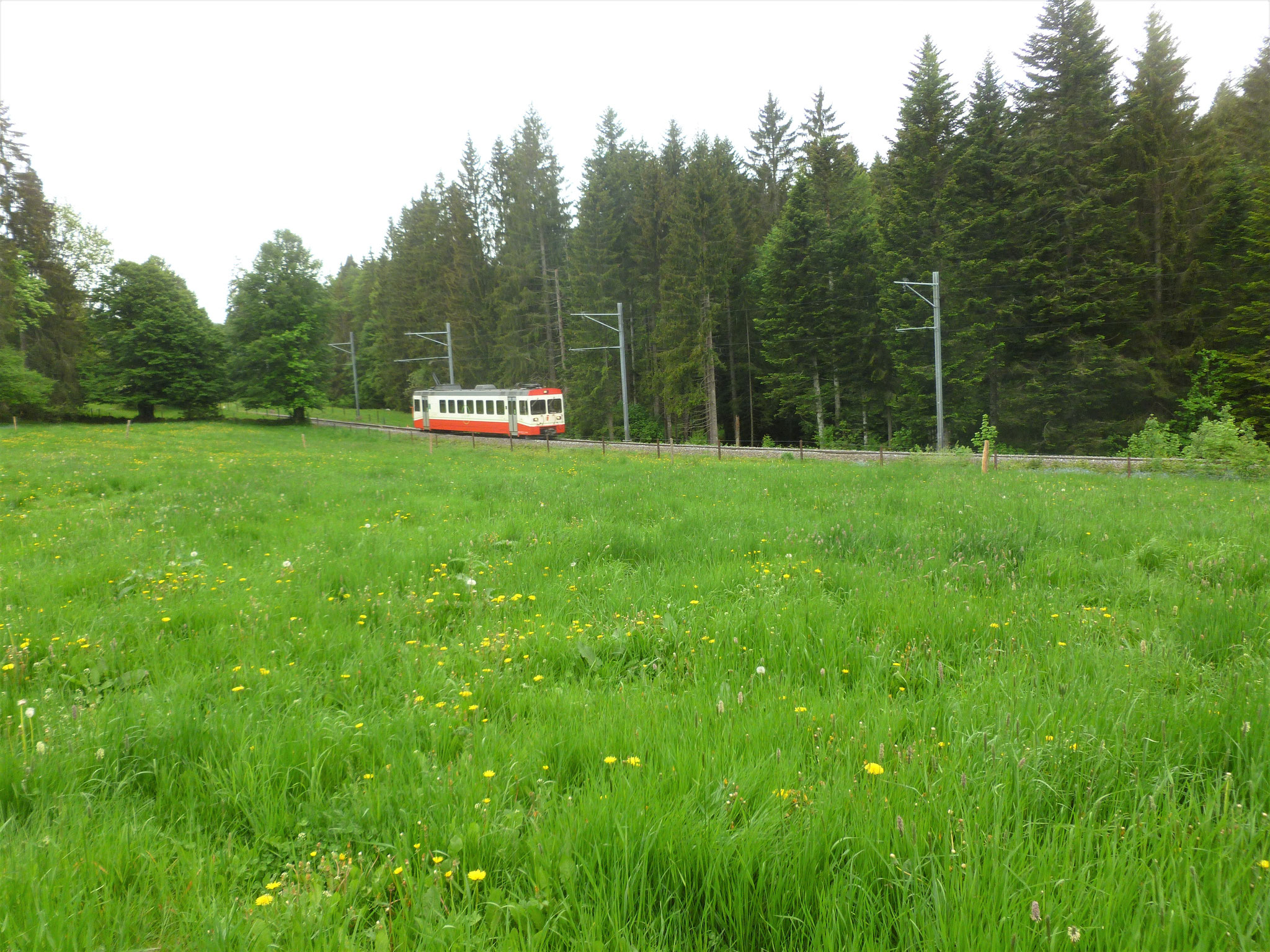 Bähnlein ins Vallée des Ponts.