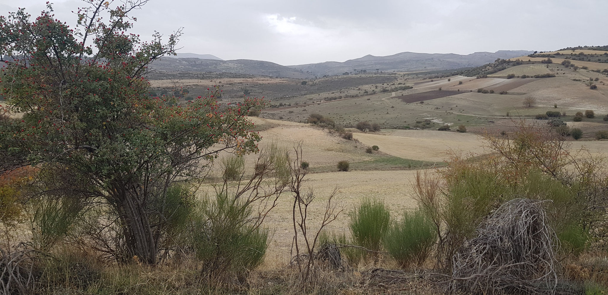 Polje-Landschaft bei El Patronato.