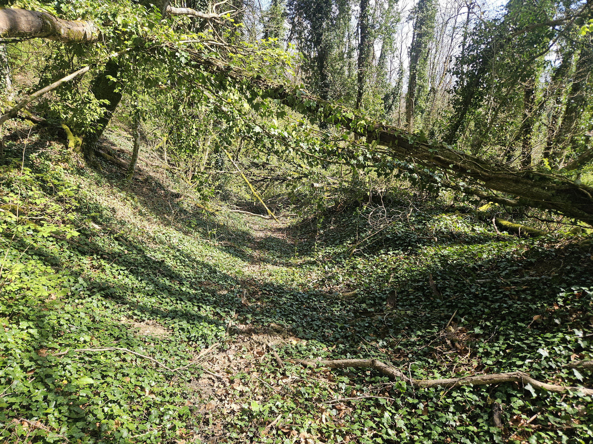 Abenteuerlicher Abstieg ins Bassigny.