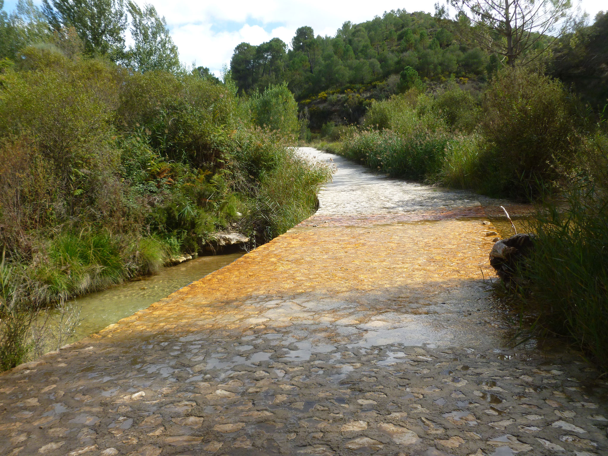 Río Cebollón.