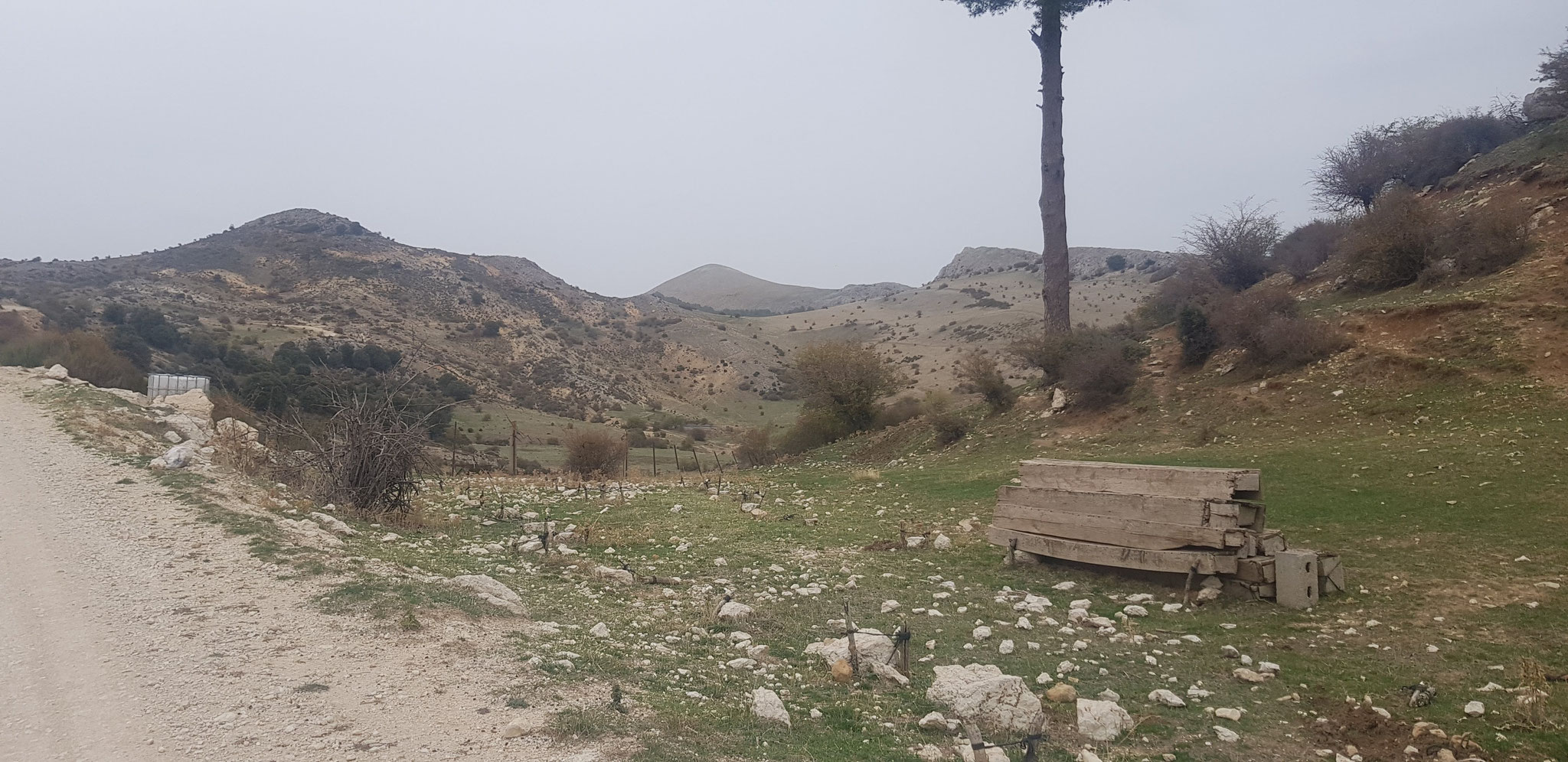 Beim Monte Pajal, Campos de Hernán Pelea.