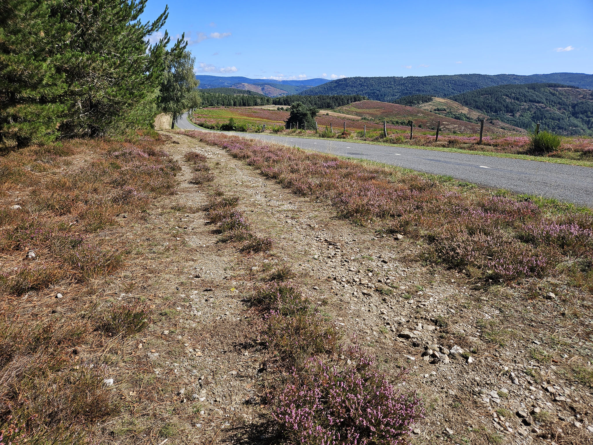 Am Weg nach Fontmort.
