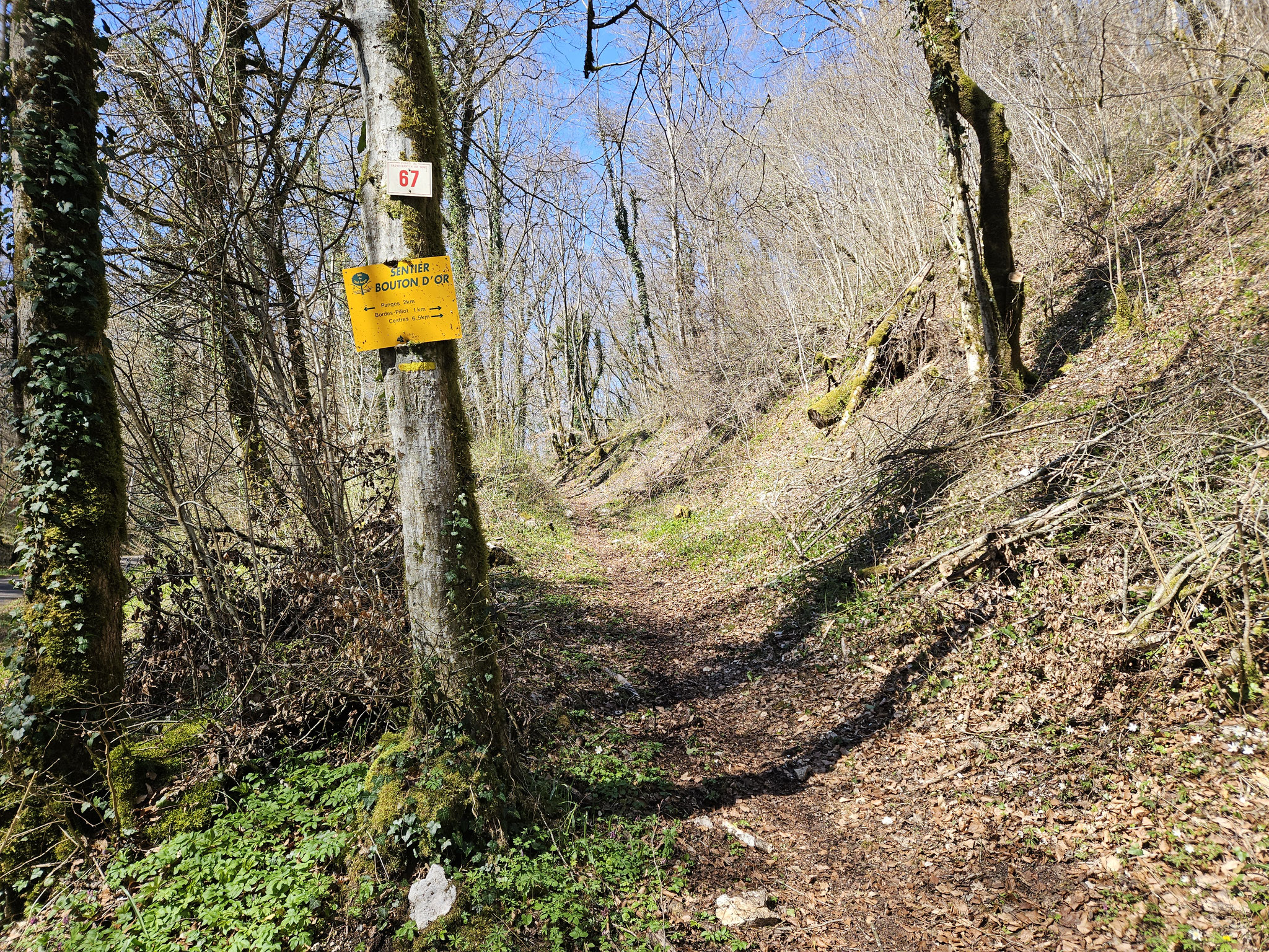Vom Suzon wieder hinauf. Weg des Goldenen Knopfs.