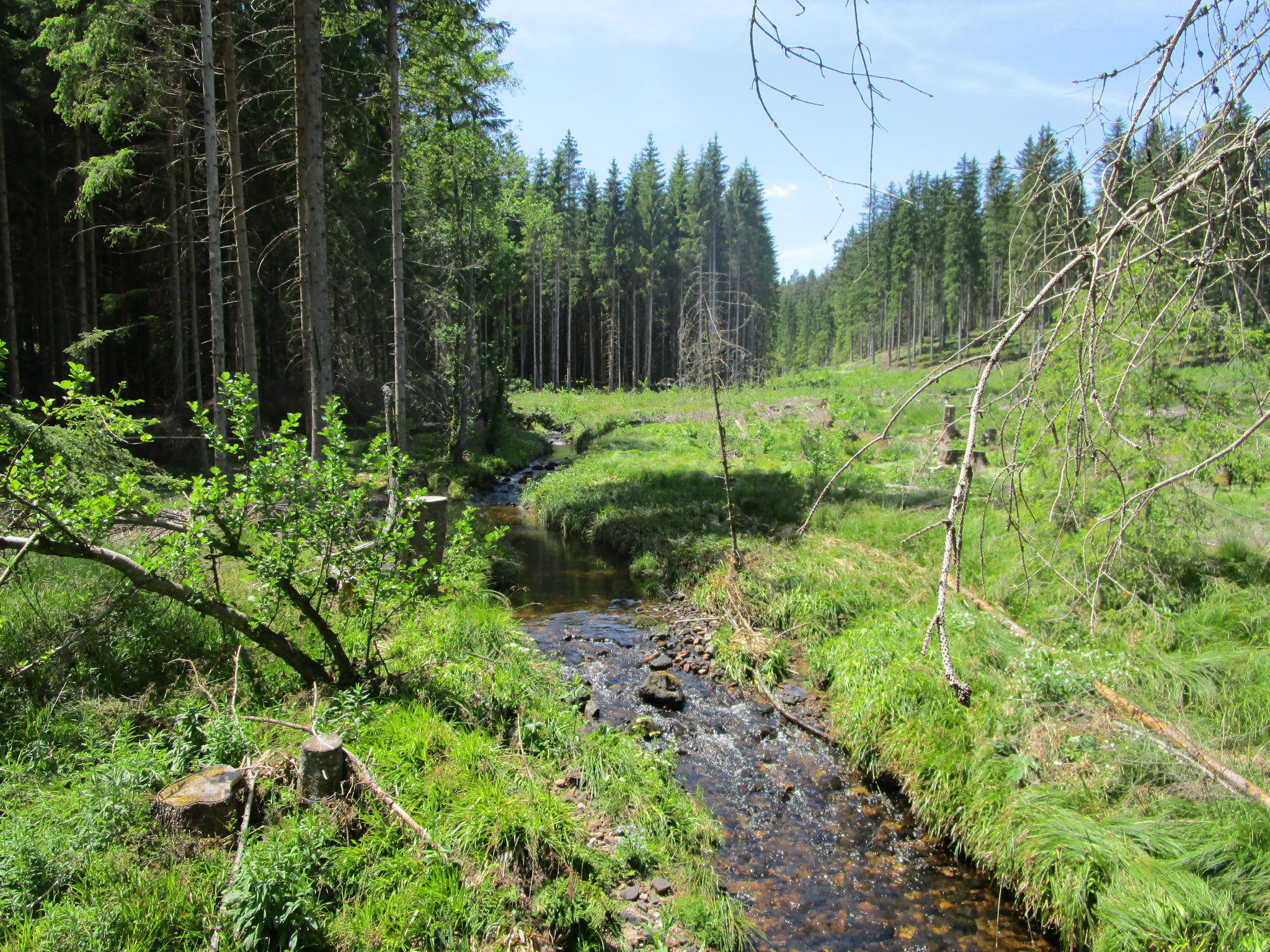 Am Brändbach.