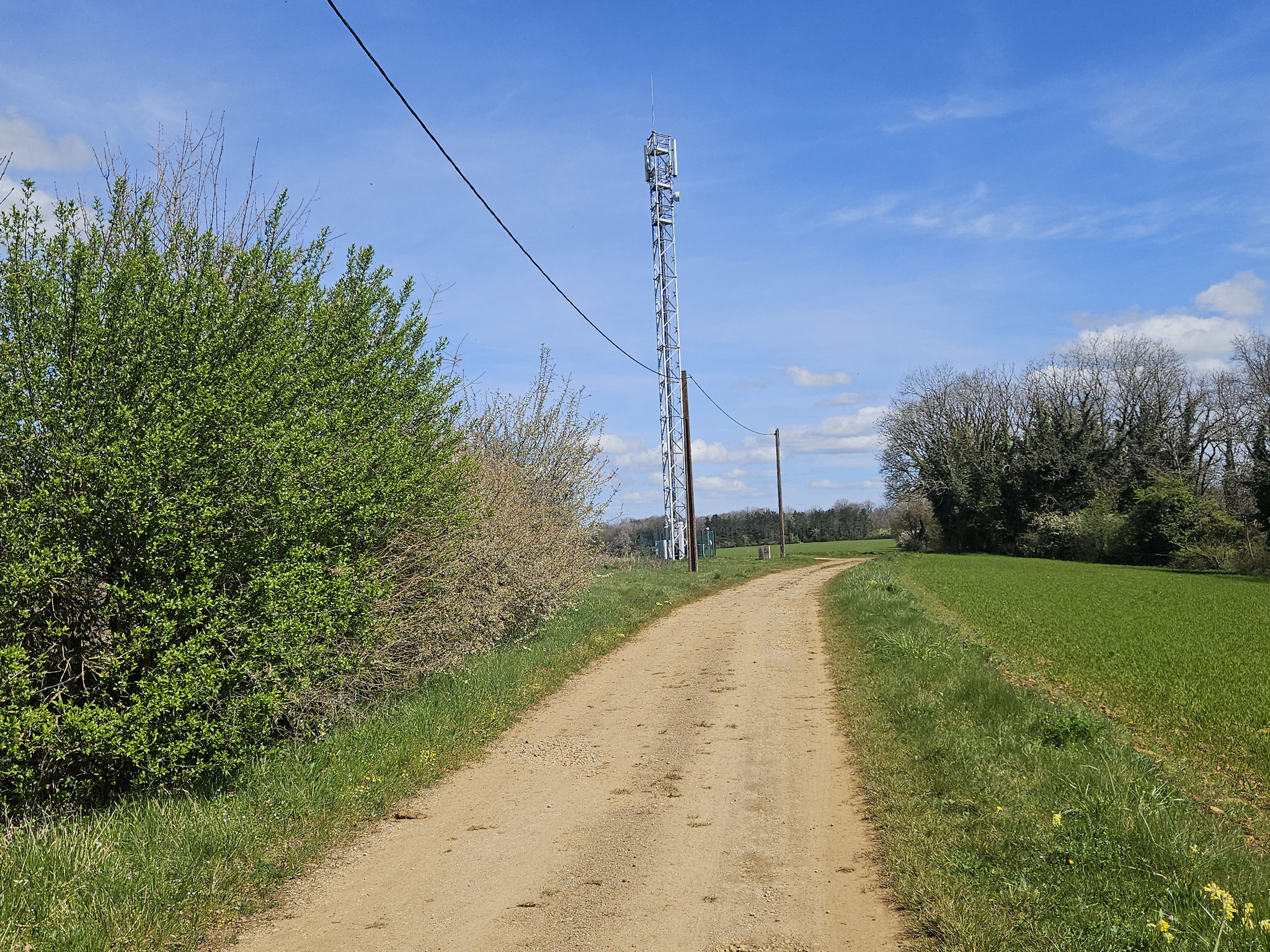 Pylone de Plesnoy.