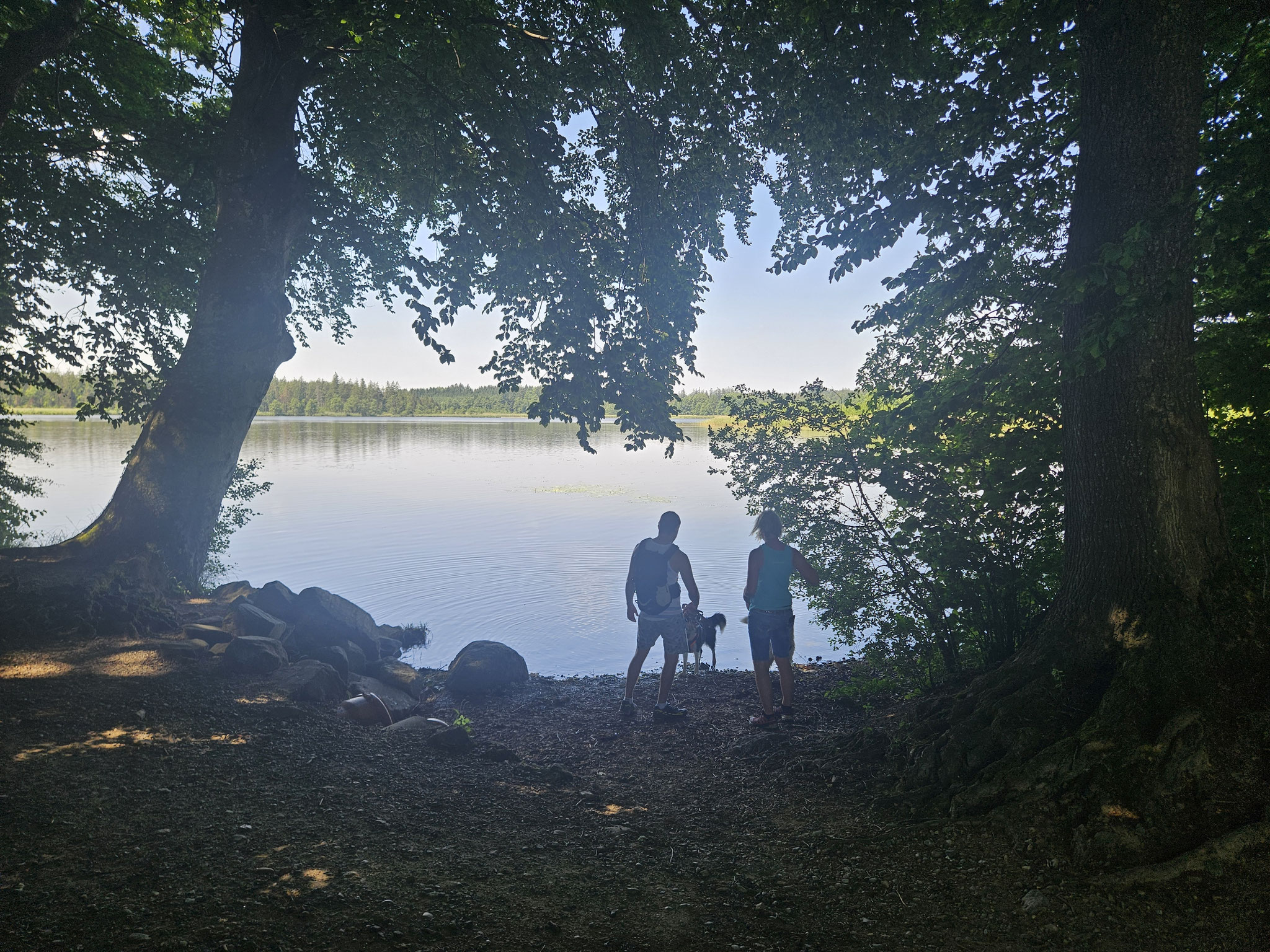 Holzmühleweiher.