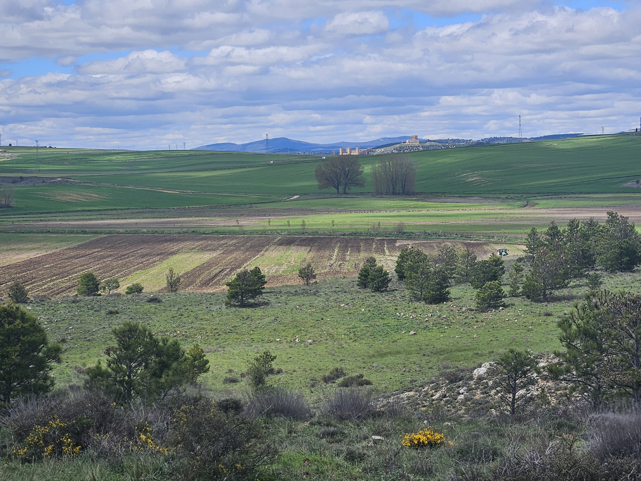 Zoom auf das Castillo von Molina de Aragón.