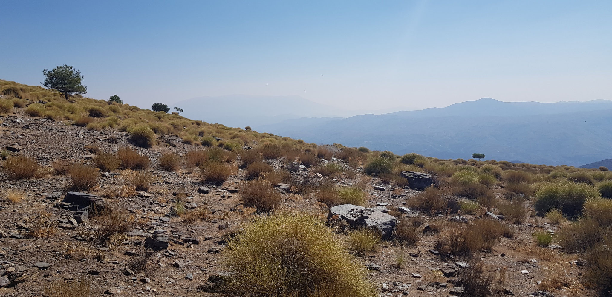 Loma de Juviles. Im Dunst die Sierra de Gador.