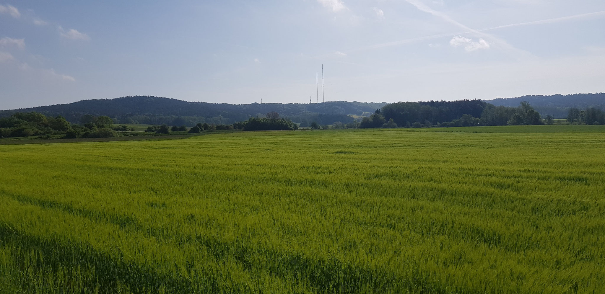 Zeugenberge von Oberferrieden. In der Mitte der Dillberg (mit Antennen).