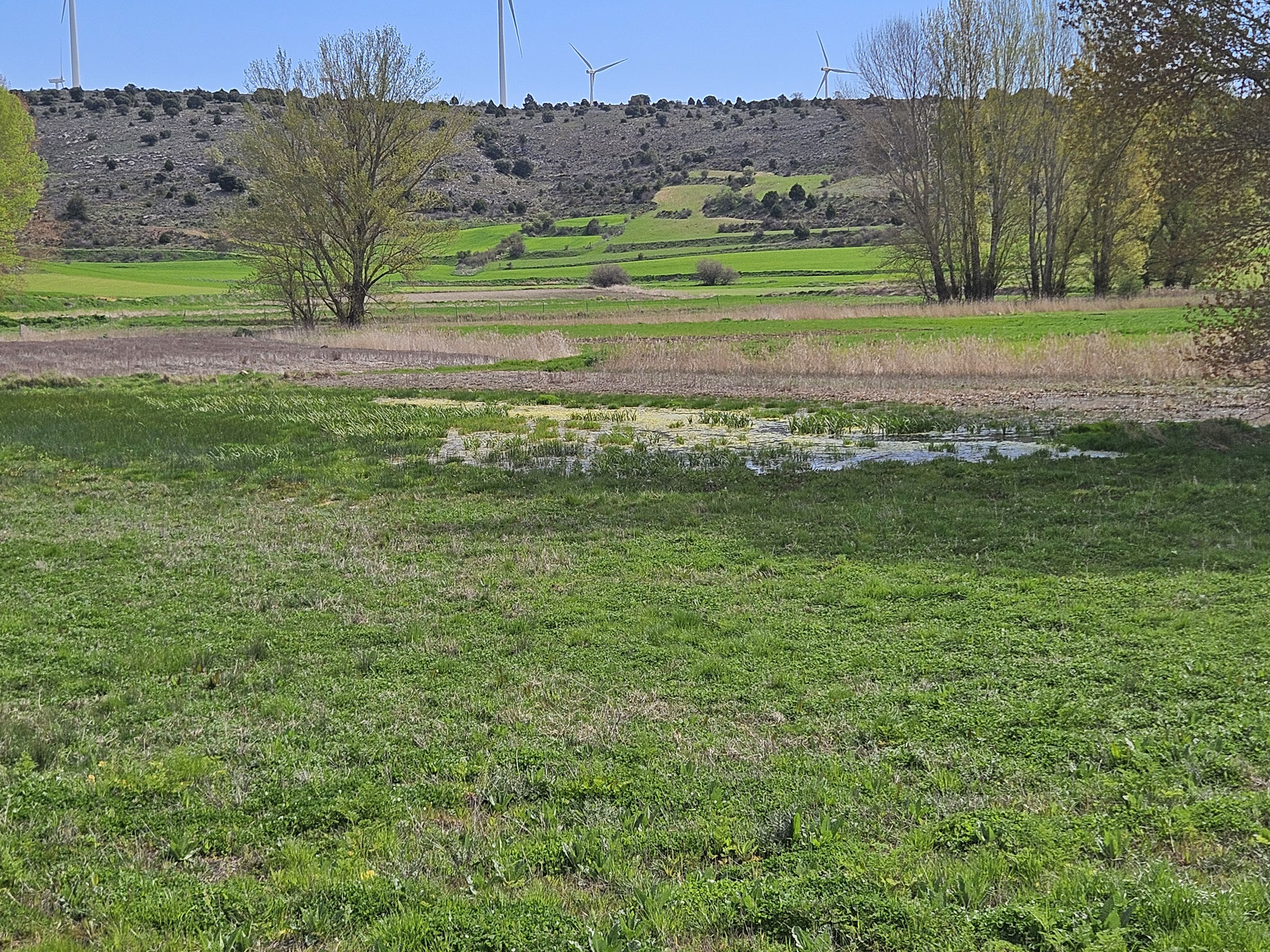 Tal des Río Blanco.