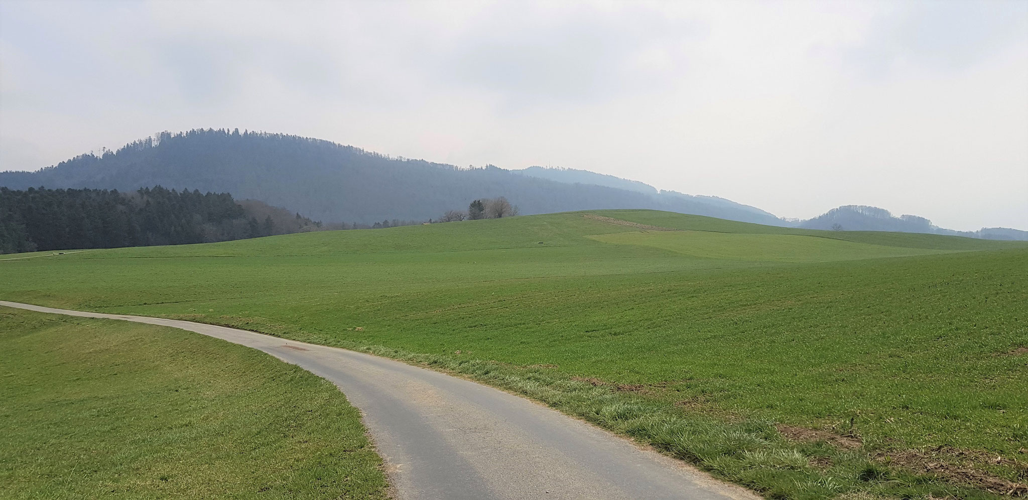 Südwärts, zur Flanke des Mont Pèlerin.