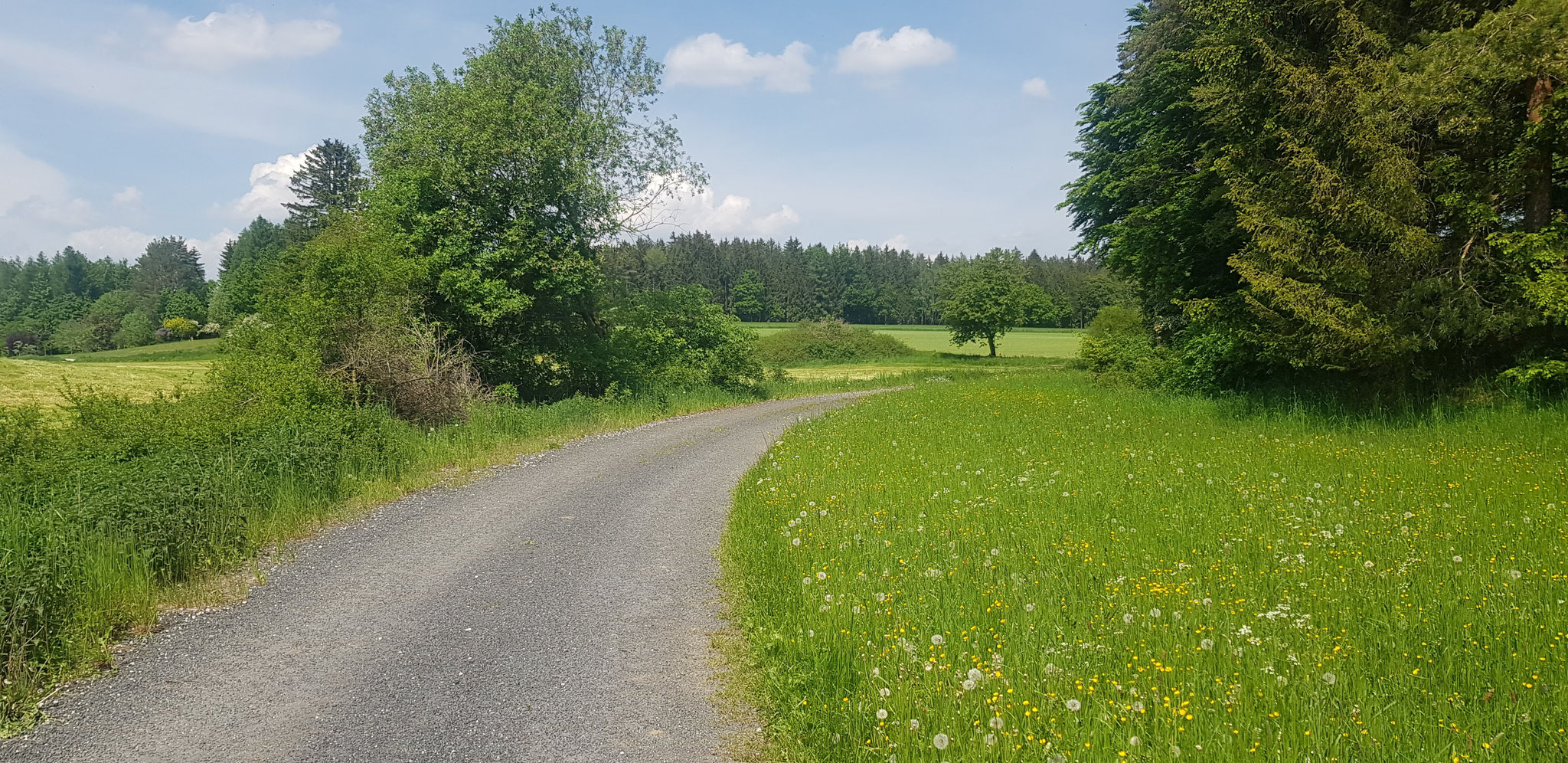 Weg nach Ballertshofen.