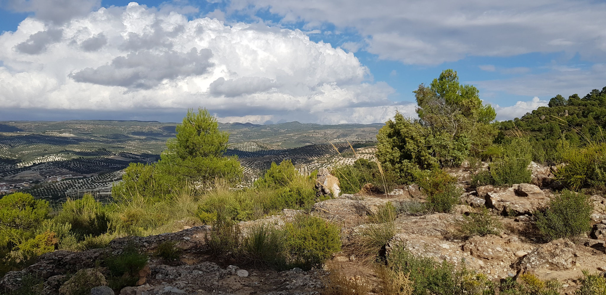 Bei Mesilla de Jayena, Blick nach Osten.