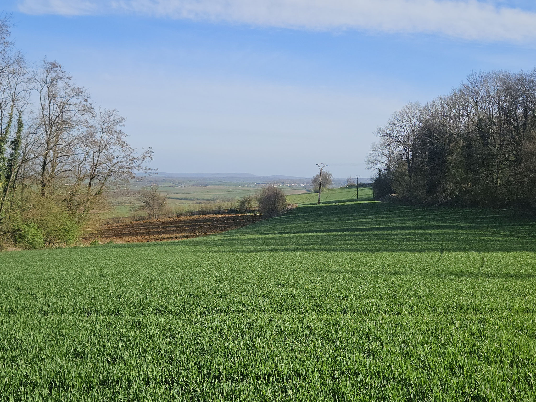 Cognelot, Blick über das Plateau.