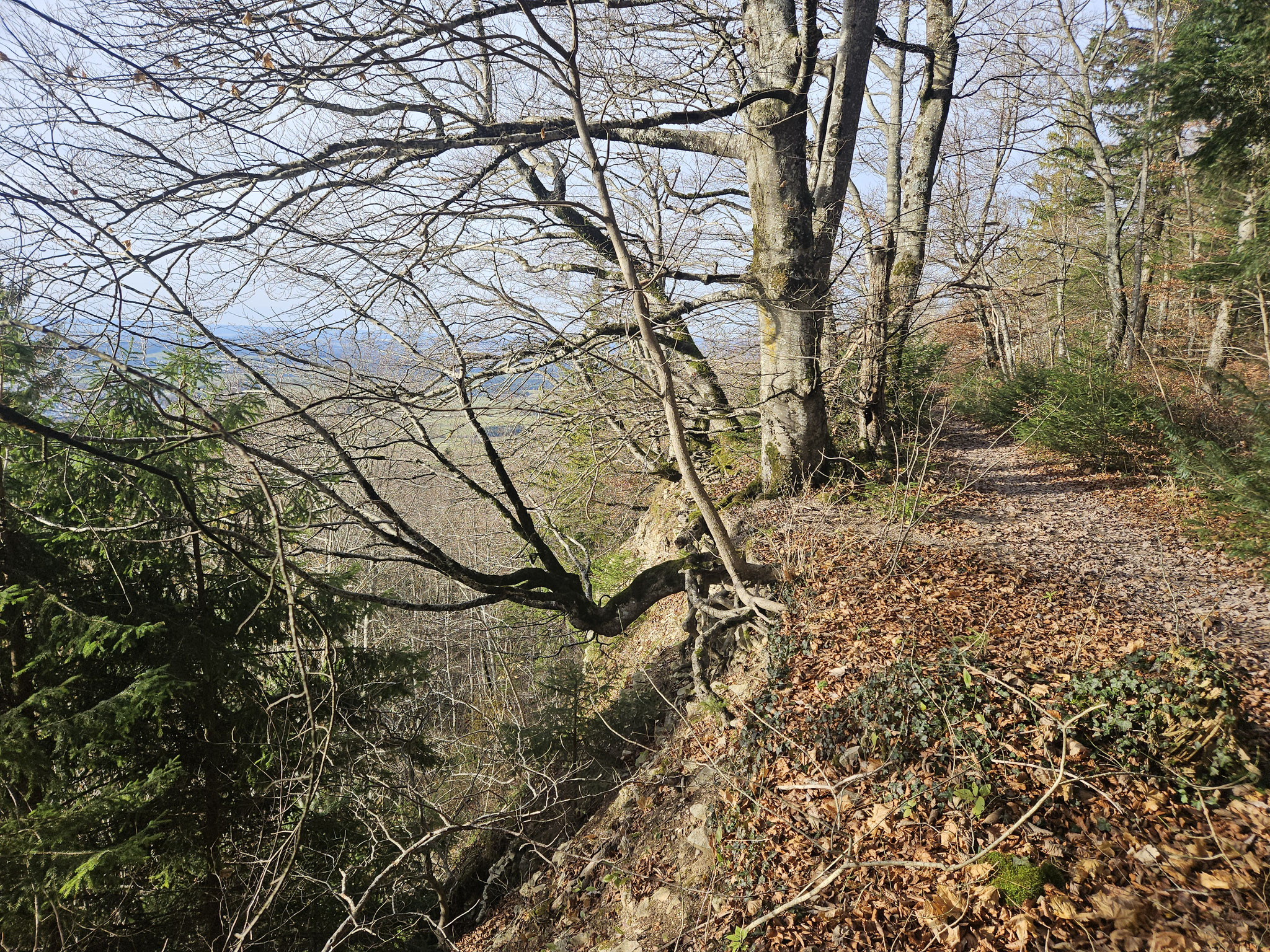 Albrandweg.