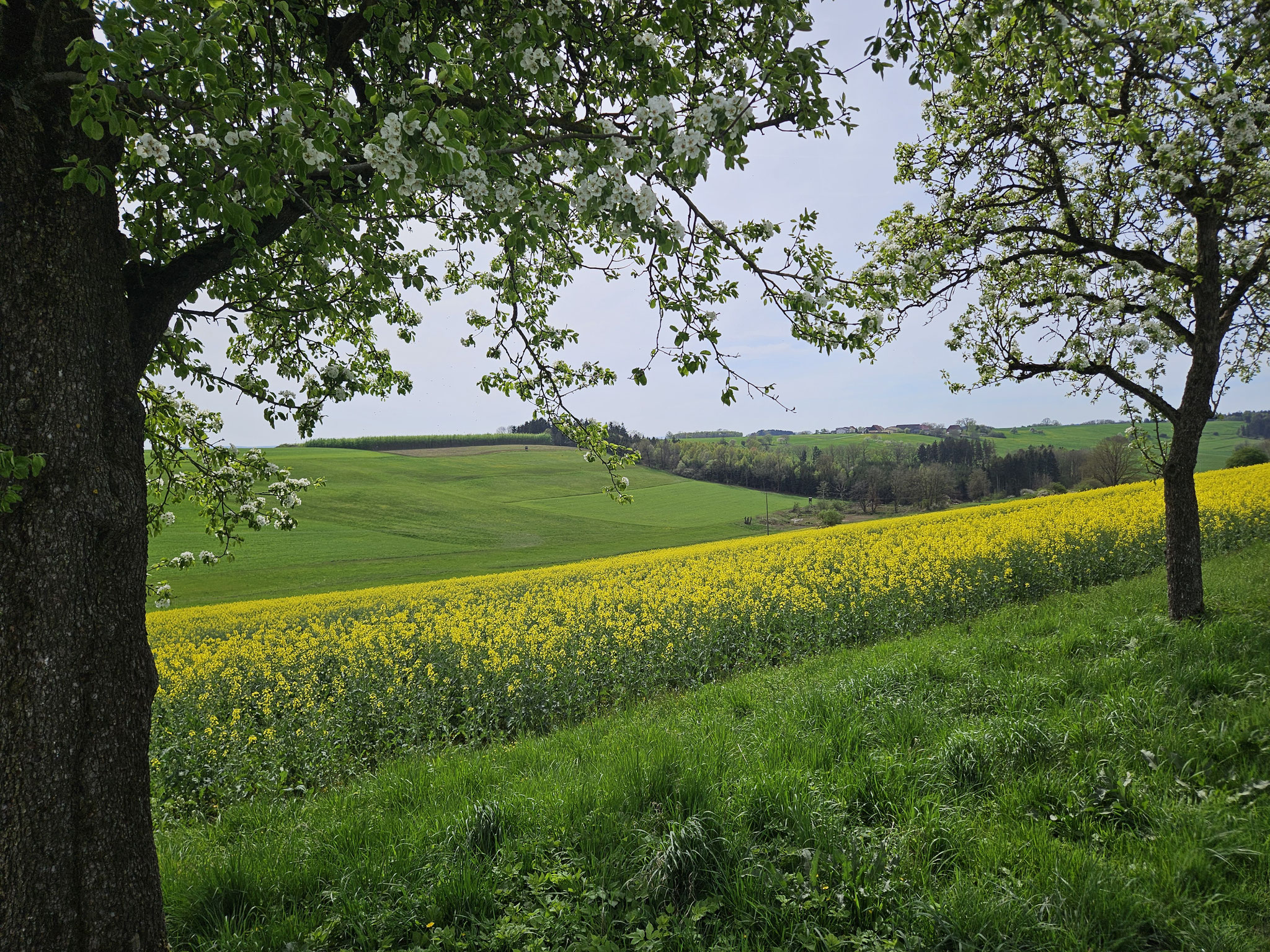 Bei Birkenzell.