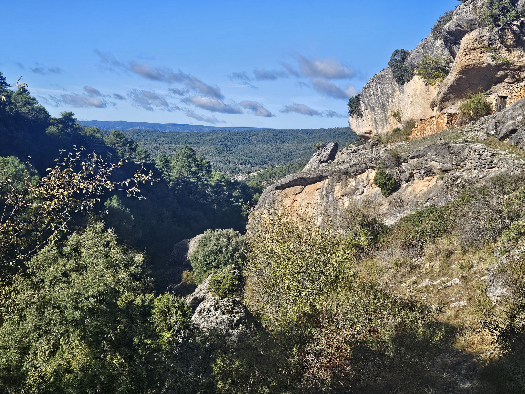 Barranco de la  Hociquilla.