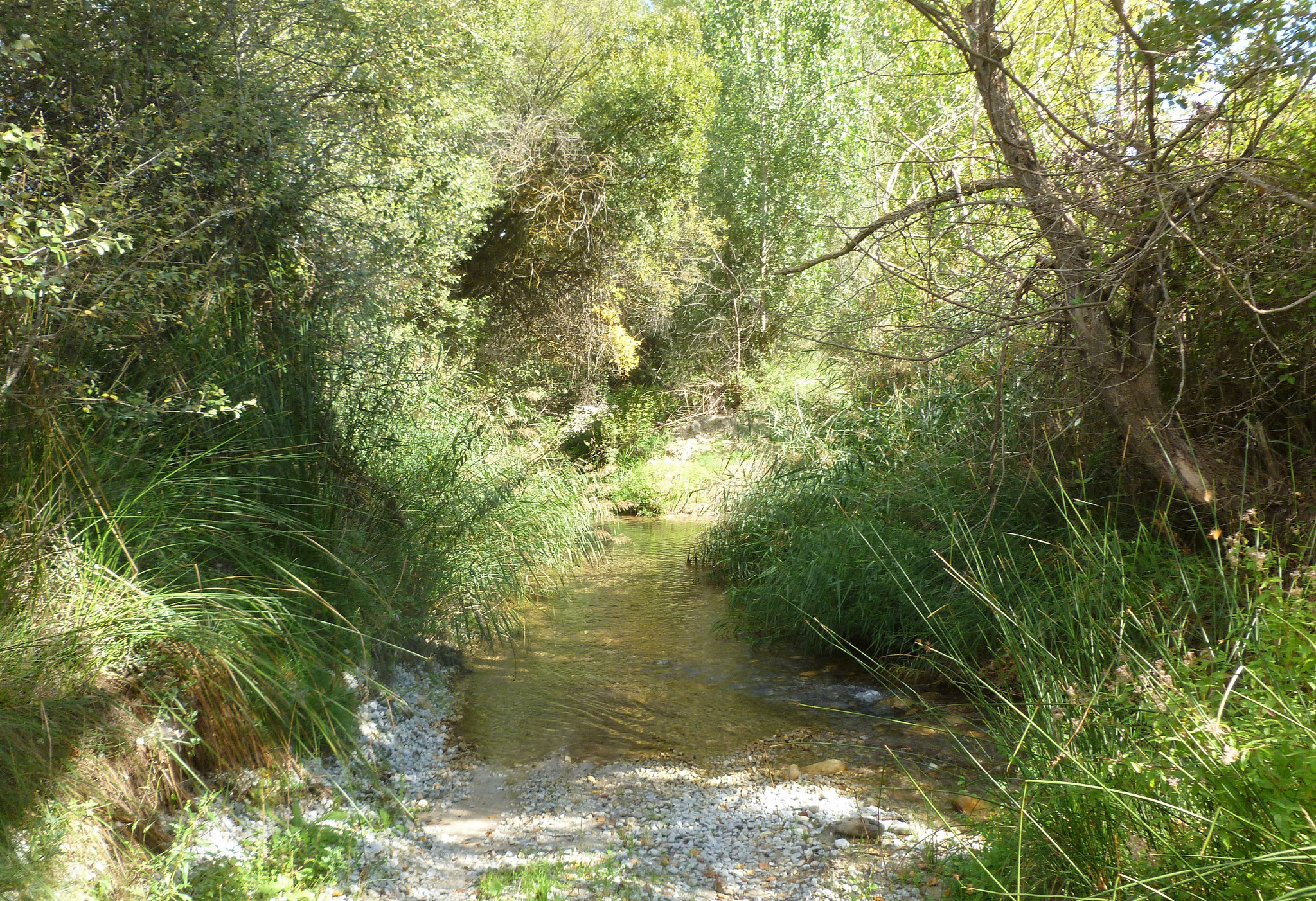 Zweite Sackgasse am Río Añales.