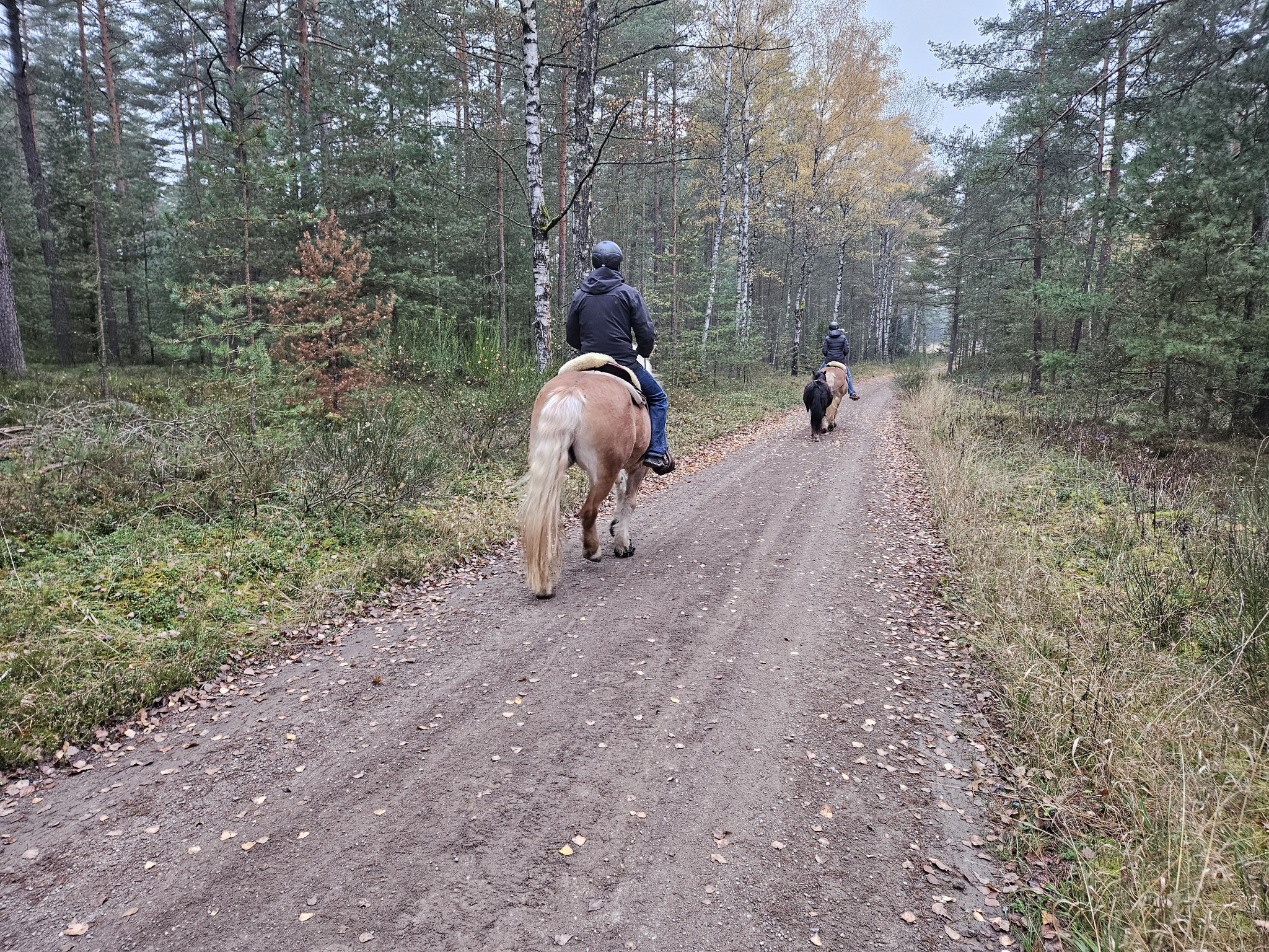 Am Katzenbühl.