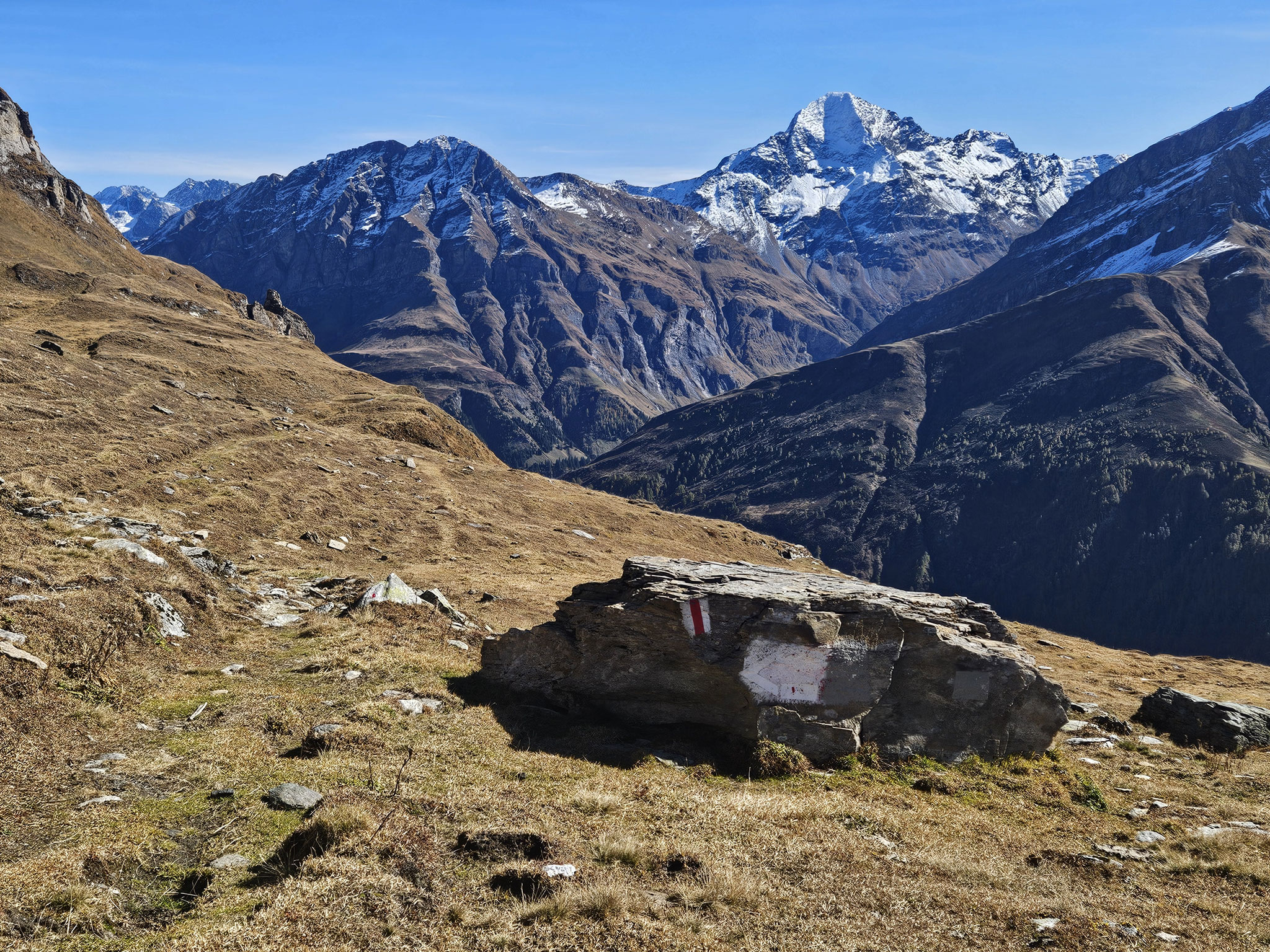 Abstieg vom Valserberg. Blick zum Pizzo Tambo.